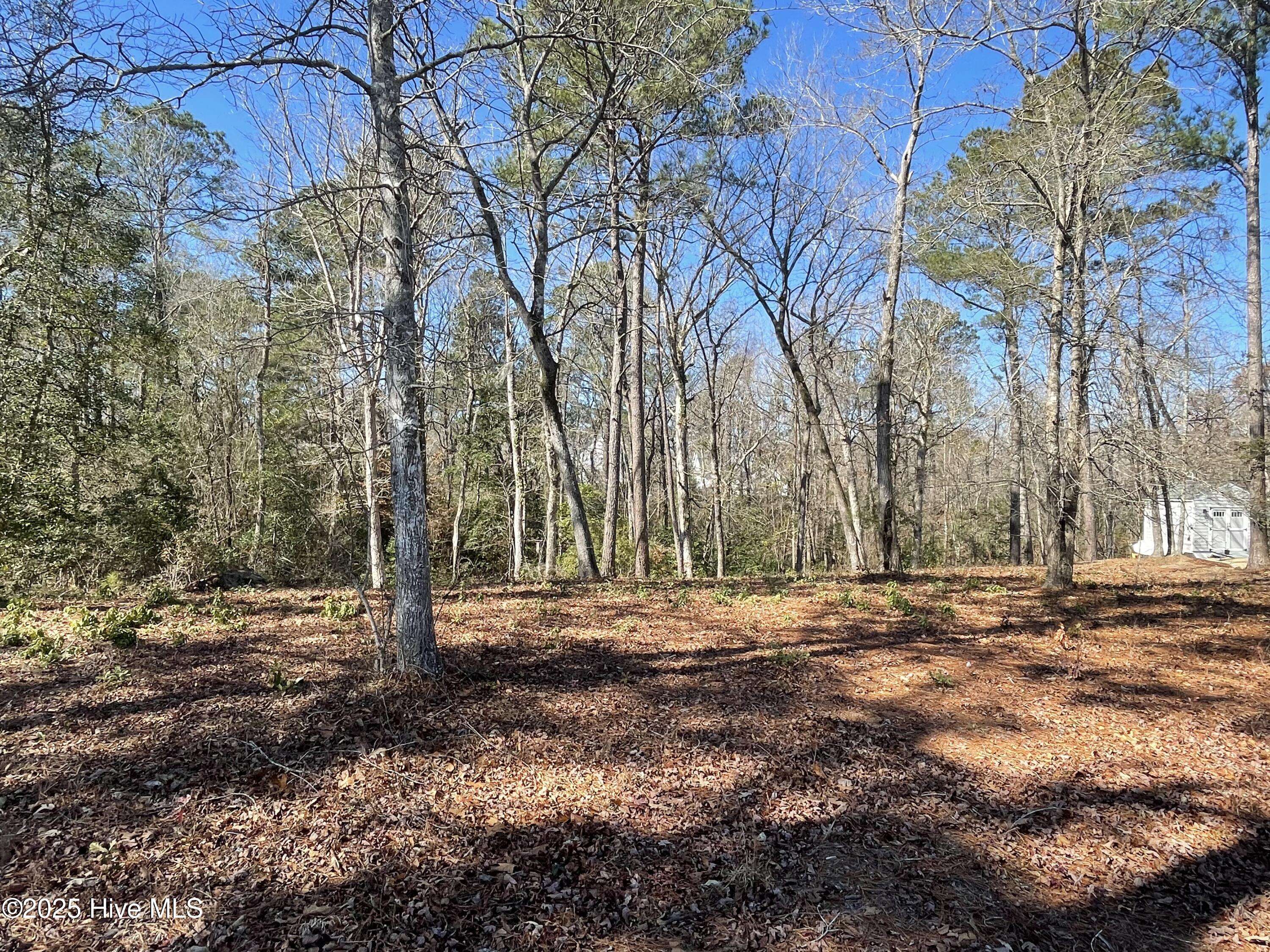 Leland, NC 28451,9273 Buccaneer CT NE