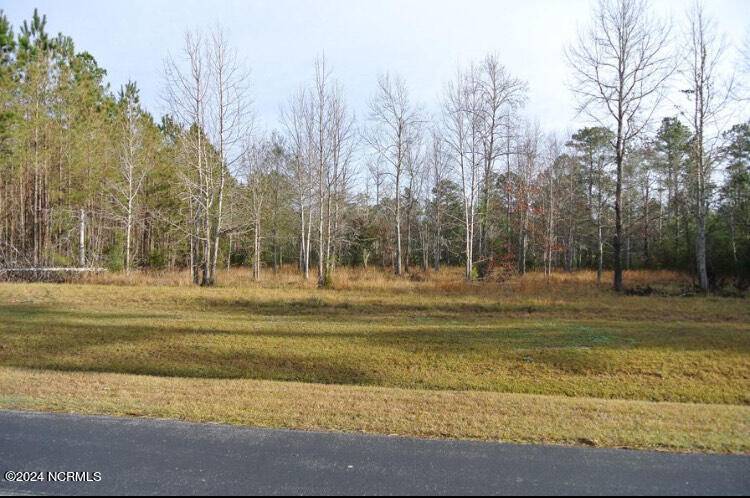 Beaufort, NC 28516,187 Garbacon DR