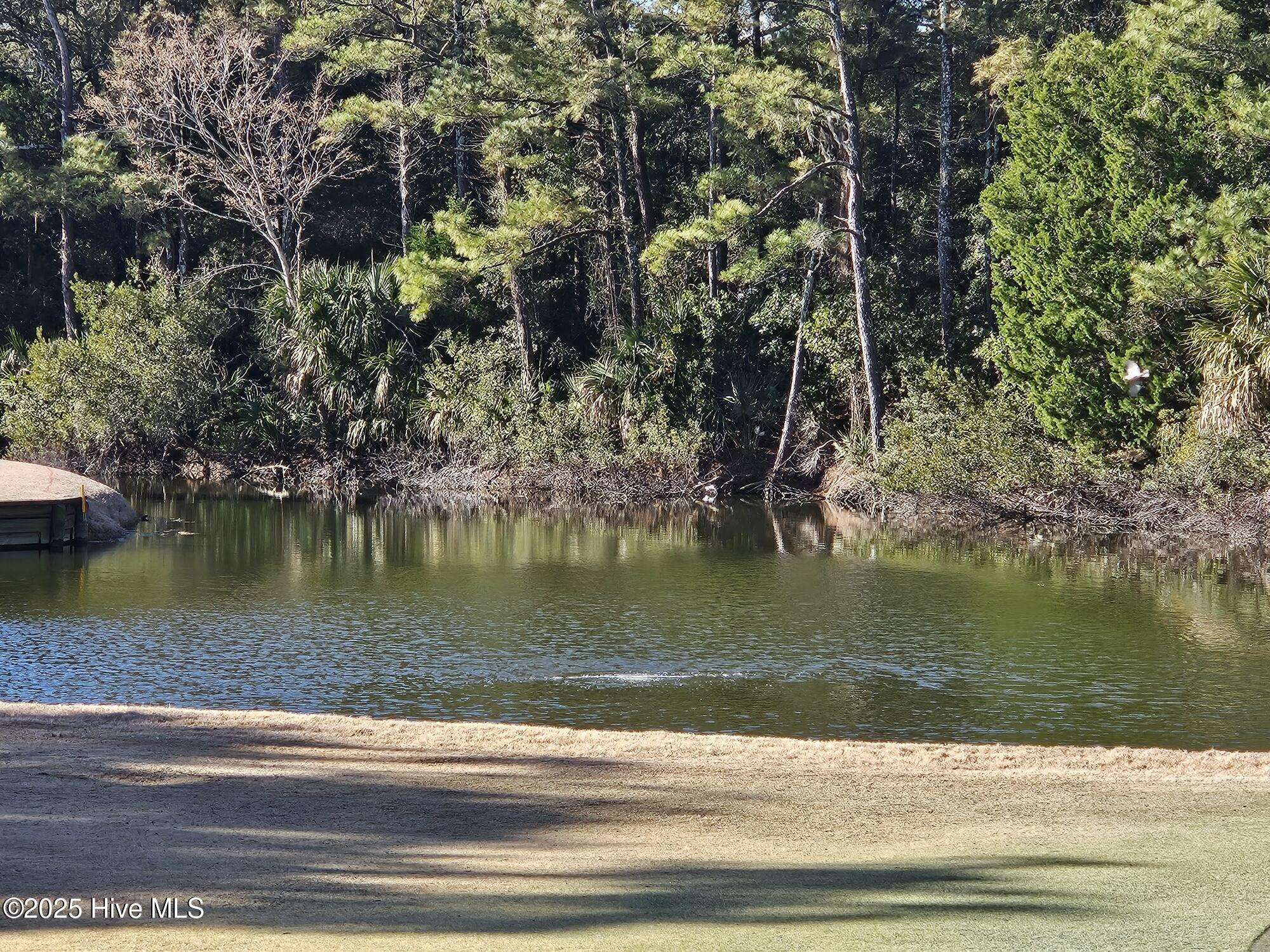 Bald Head Island, NC 28461,43 Fort Holmes TRL