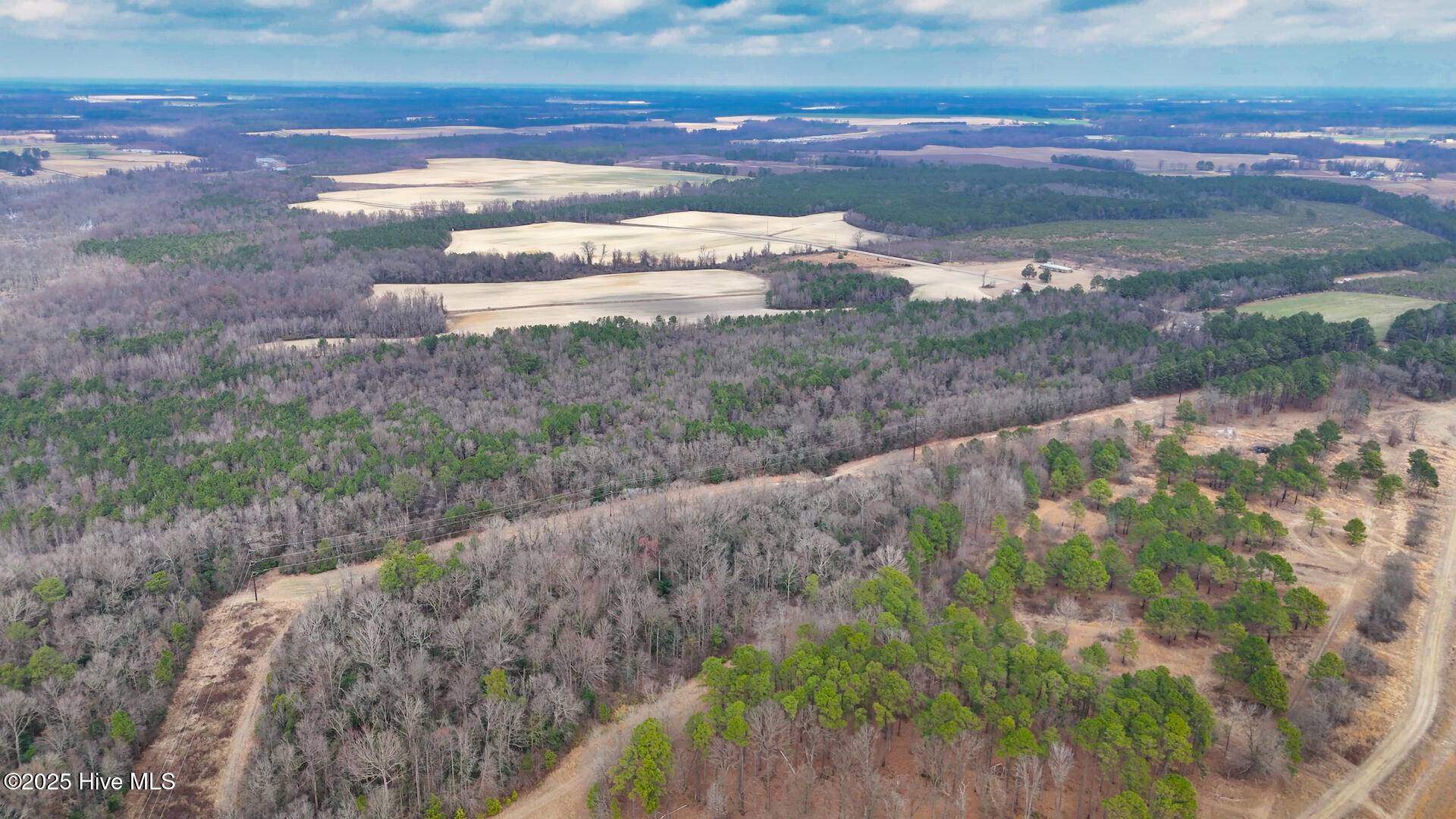 Faison, NC 28341,0 E Darden East RD