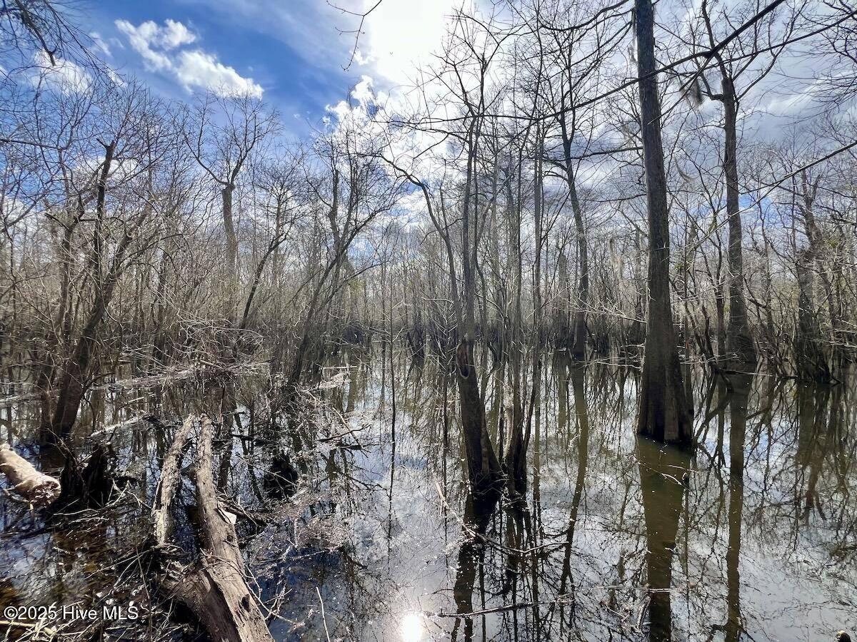 Grifton, NC 28530,0 Jolly Ole Field RD