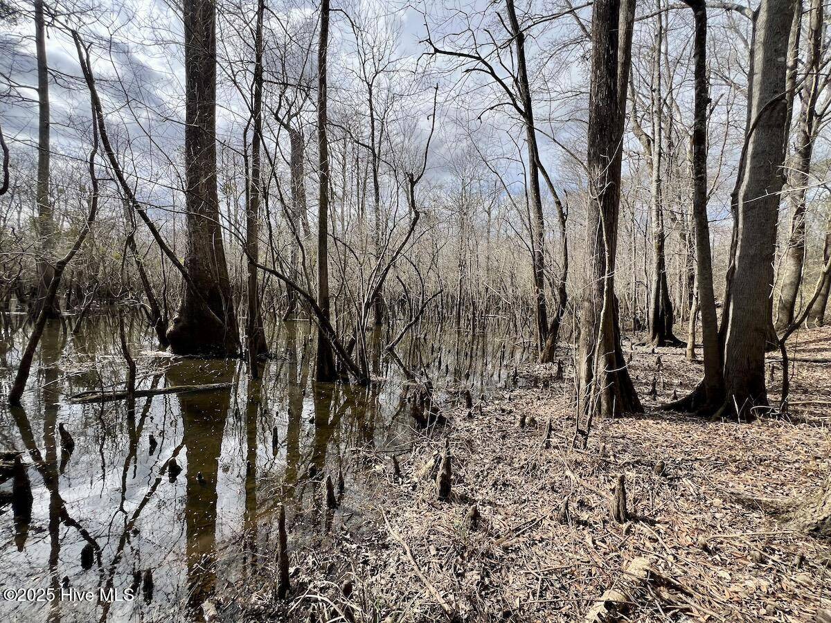 Grifton, NC 28530,0 Jolly Ole Field RD