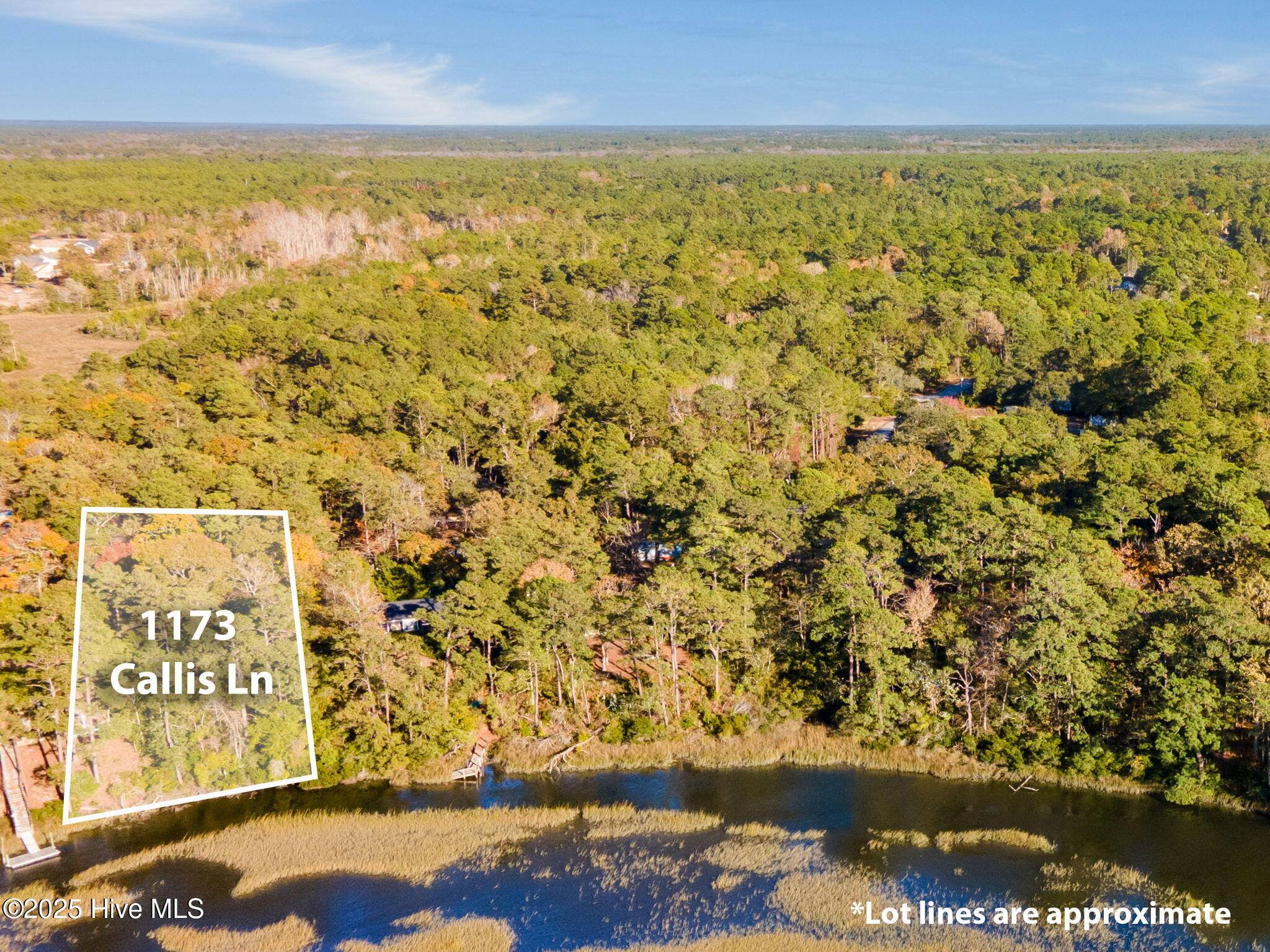 Shallotte, NC 28470,1173 Callis LN SW