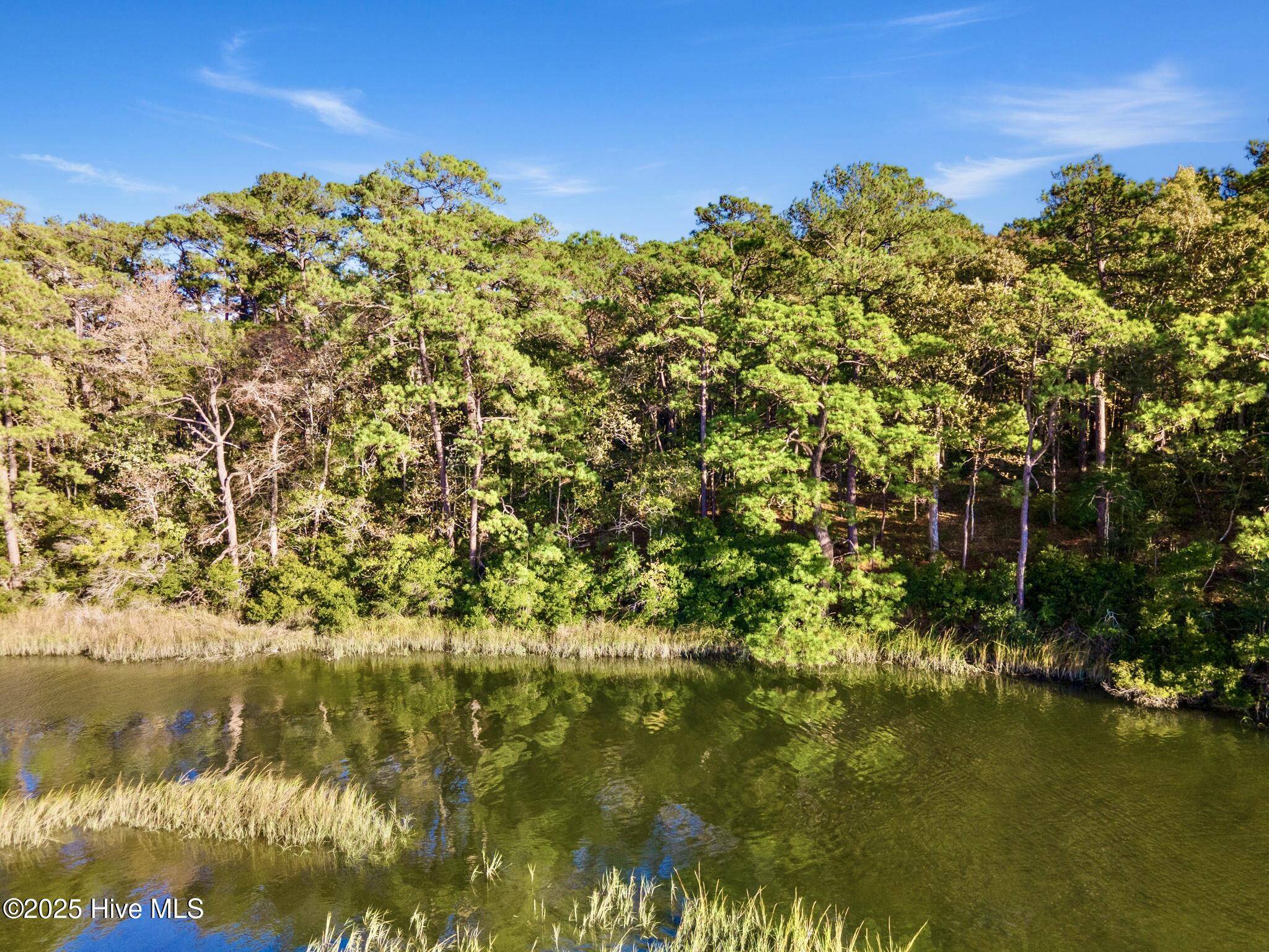 Shallotte, NC 28470,1173 Callis LN SW