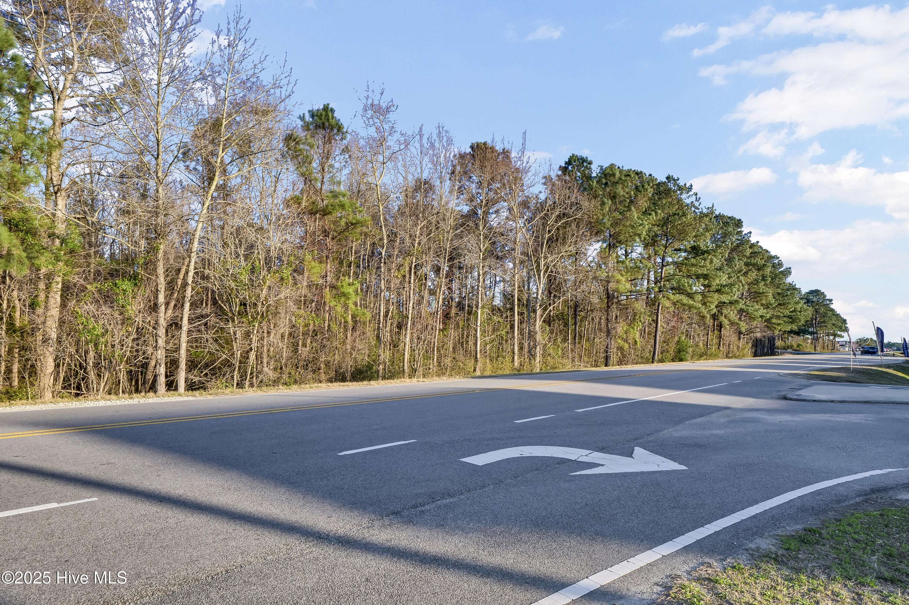 Sneads Ferry, NC 28460,Pt L6 Nc Highway 210