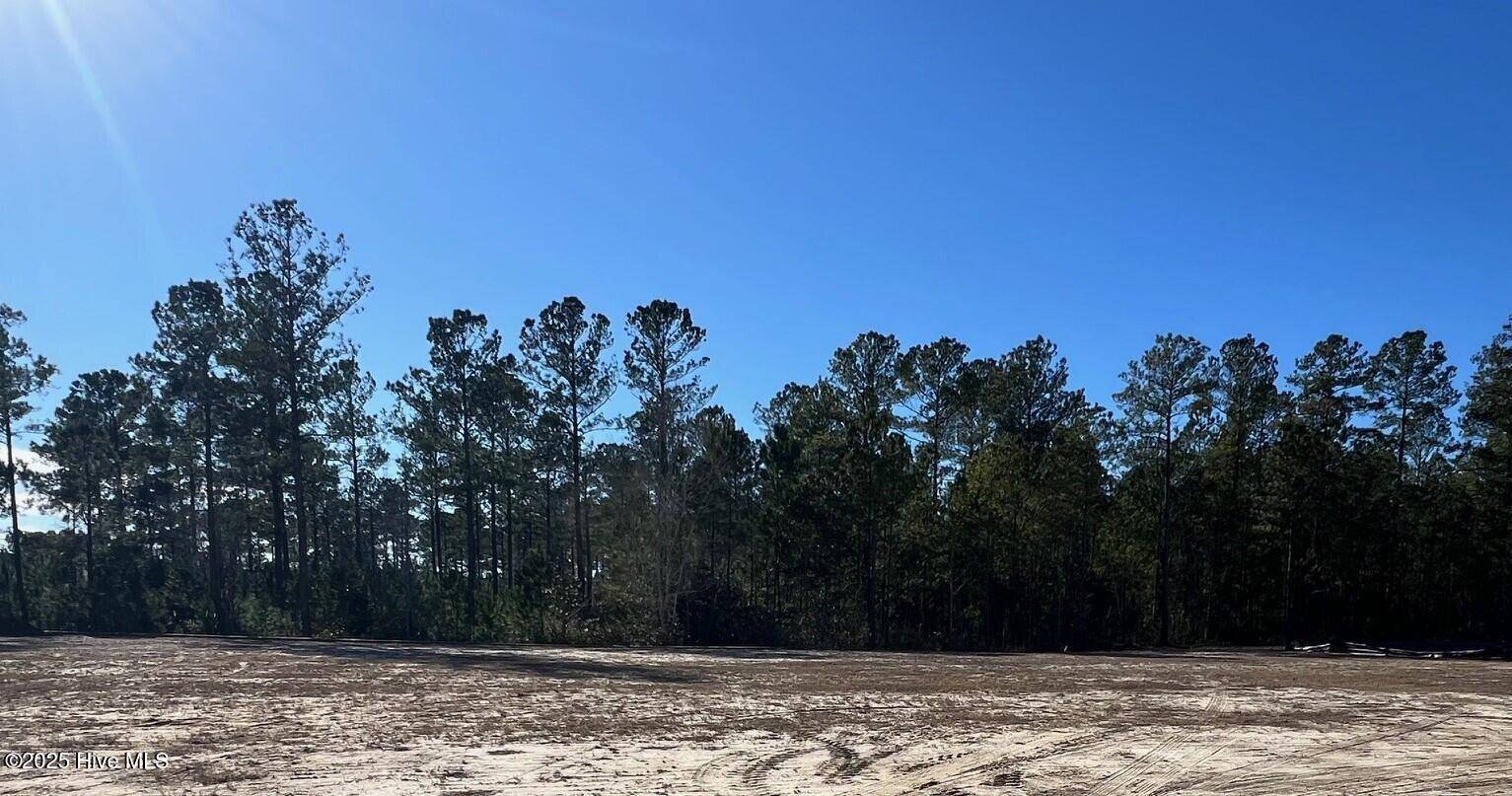 Leland, NC 28451,2912 W Timber Crest LN NE