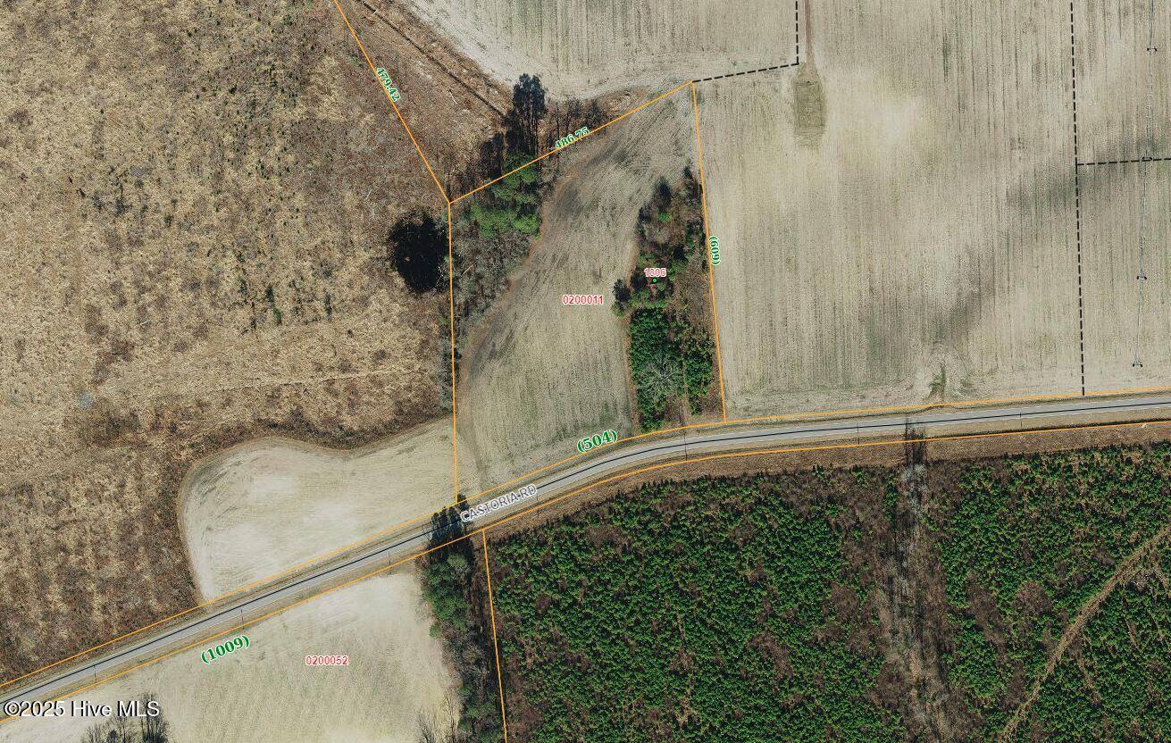 Walstonburg, NC 27888,1806 Castoria RD