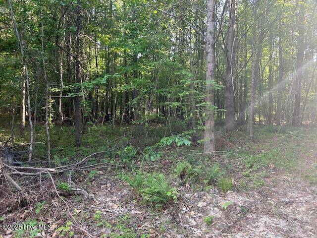 Elizabeth City, NC 27909,1646 Soundneck RD