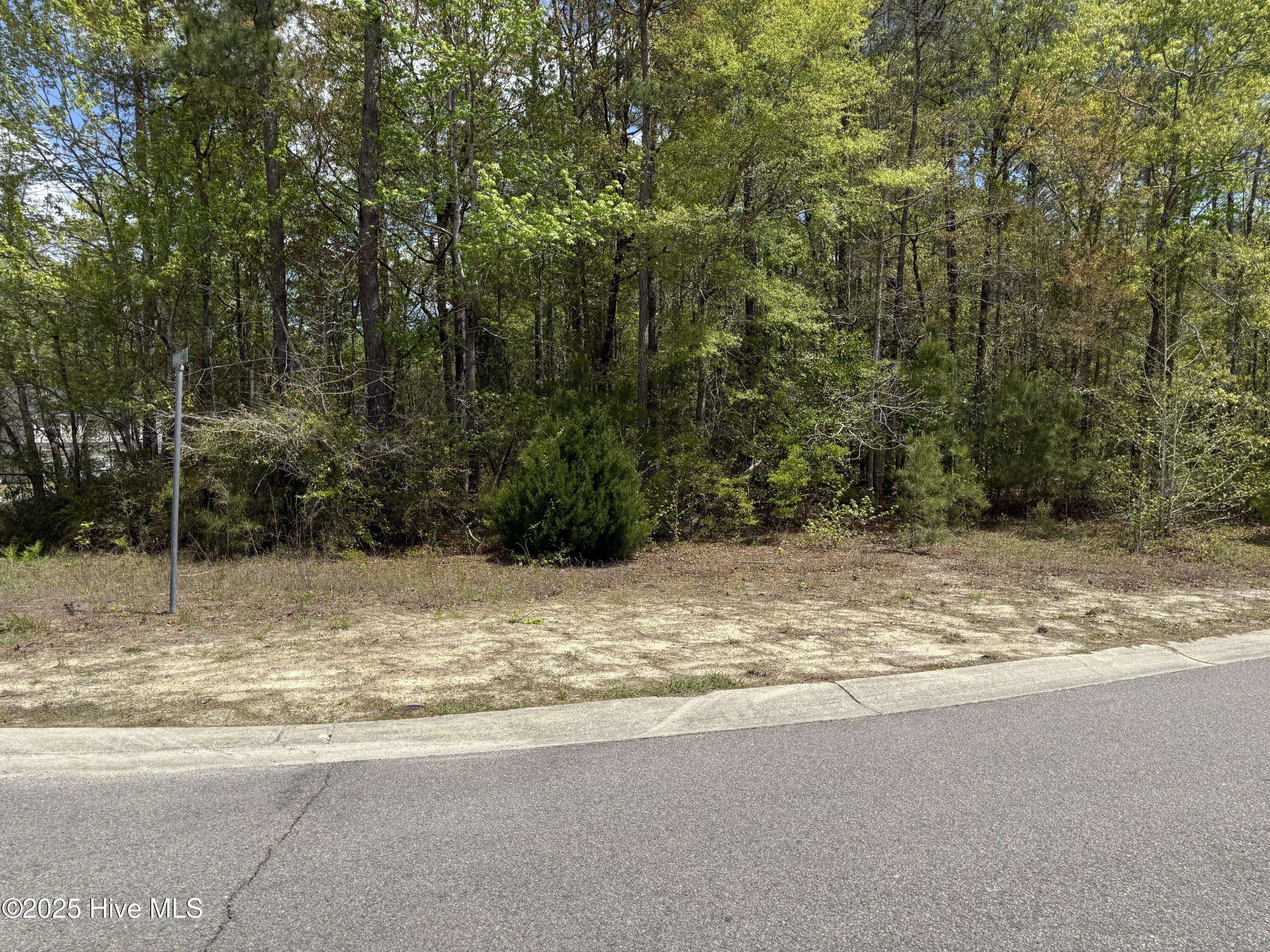 Bolivia, NC 28422,763 Pantego BLVD SE