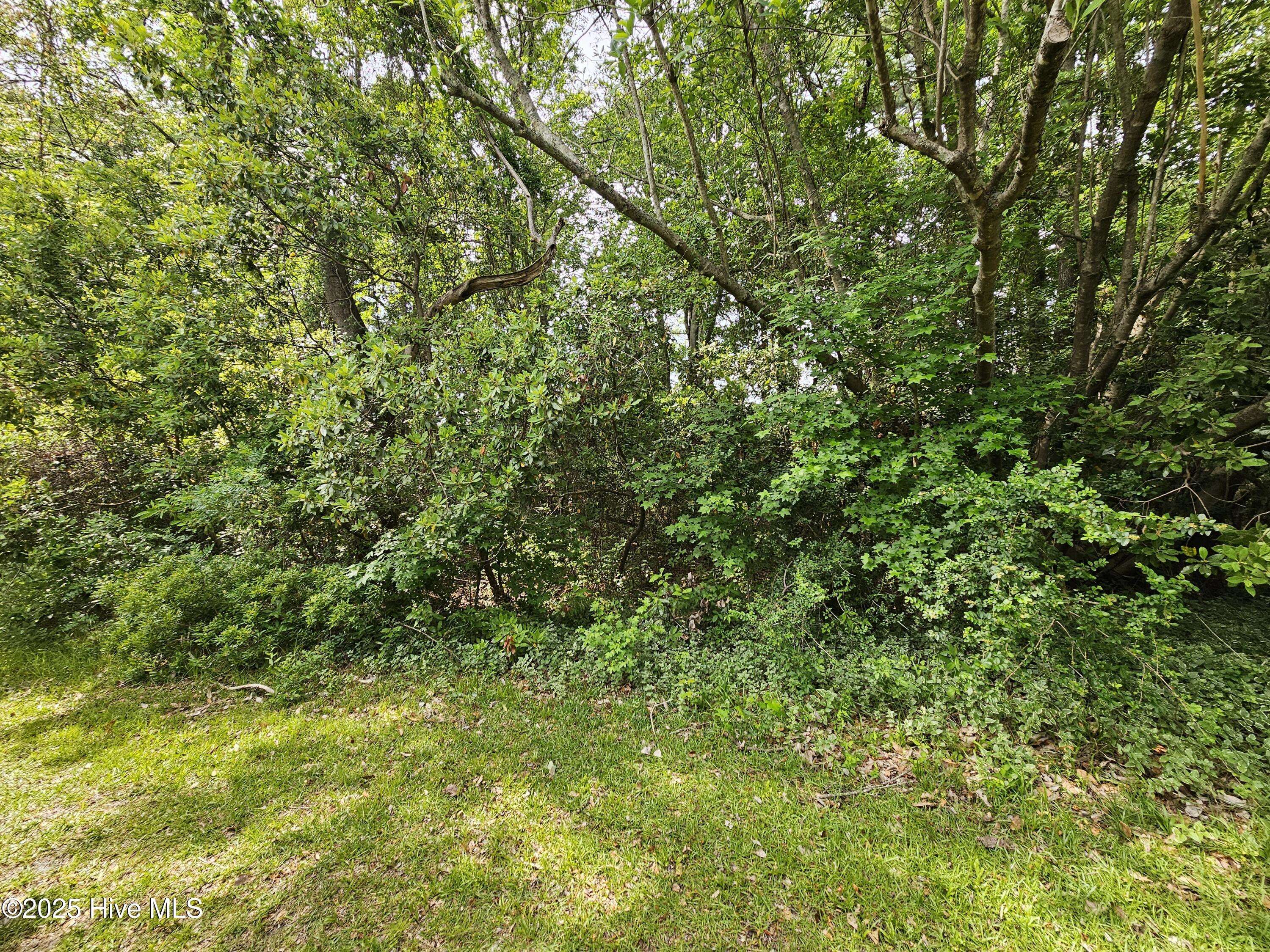 New Bern, NC 28560,1203 Petite Terre CT