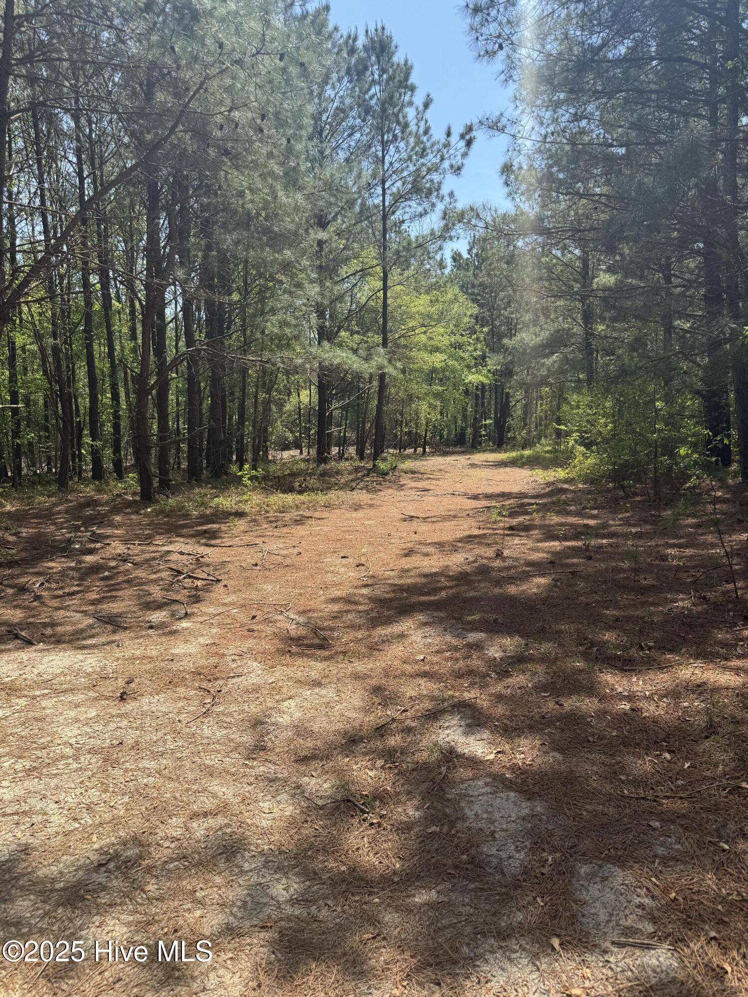 Warsaw, NC 28398,1291 Veachs Mill RD