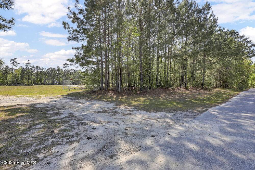 Hampstead, NC 28443,0 Dan Owen DR