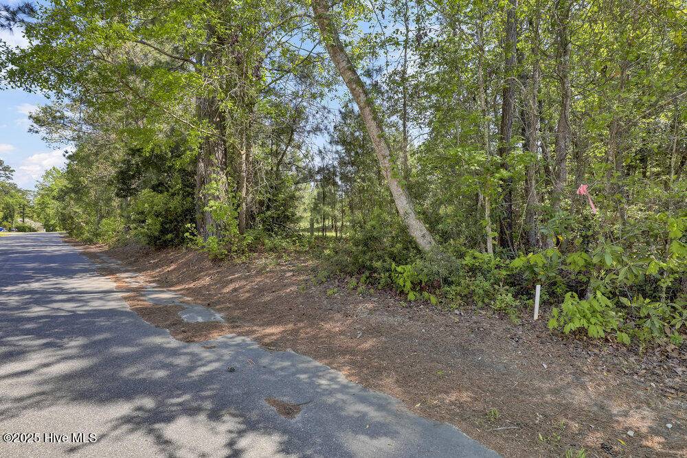 Hampstead, NC 28443,0 Dan Owen DR