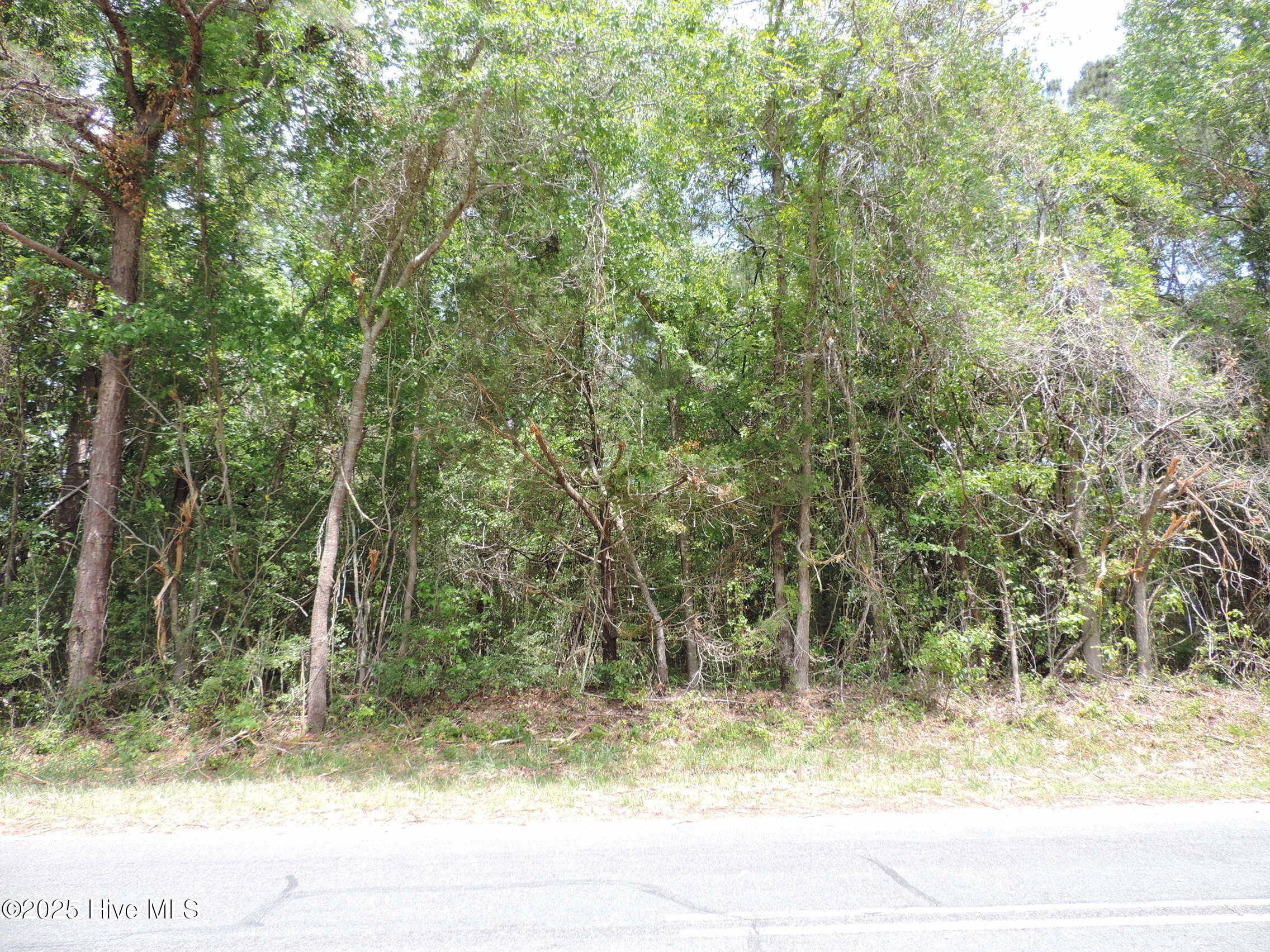 New Bern, NC 28562,290 Perrytown Loop RD