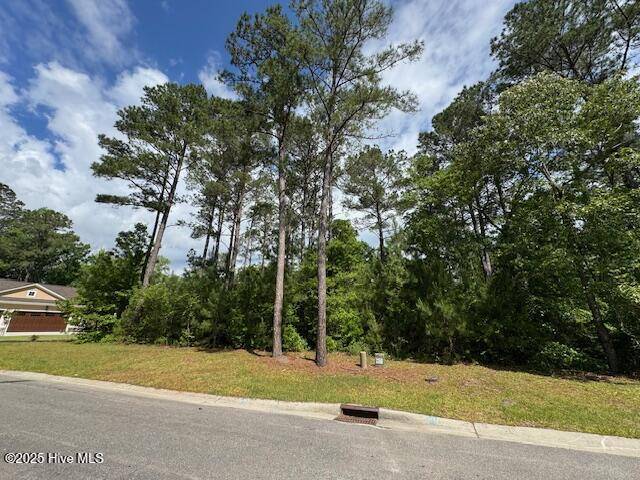 Leland, NC 28451,9315 Buccaneer CT NE