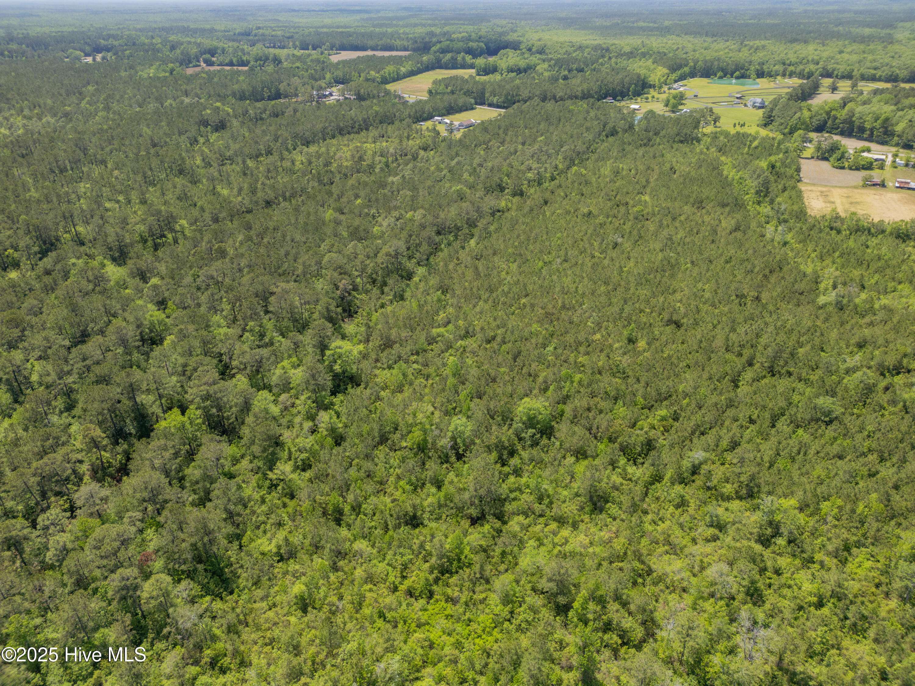 Ash, NC 28420,29.17 Ac Ash Little River Rd NW