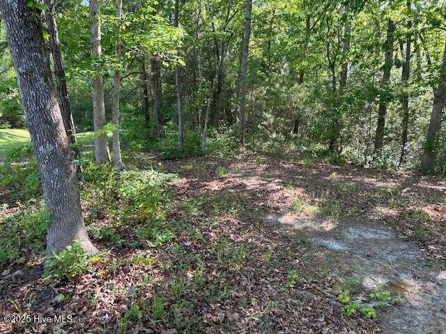 Bolivia, NC 28422,1400 Pindo CT SE