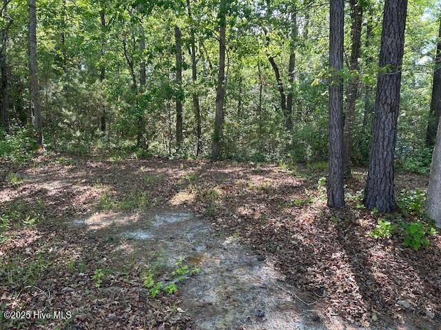 Bolivia, NC 28422,1400 Pindo CT SE