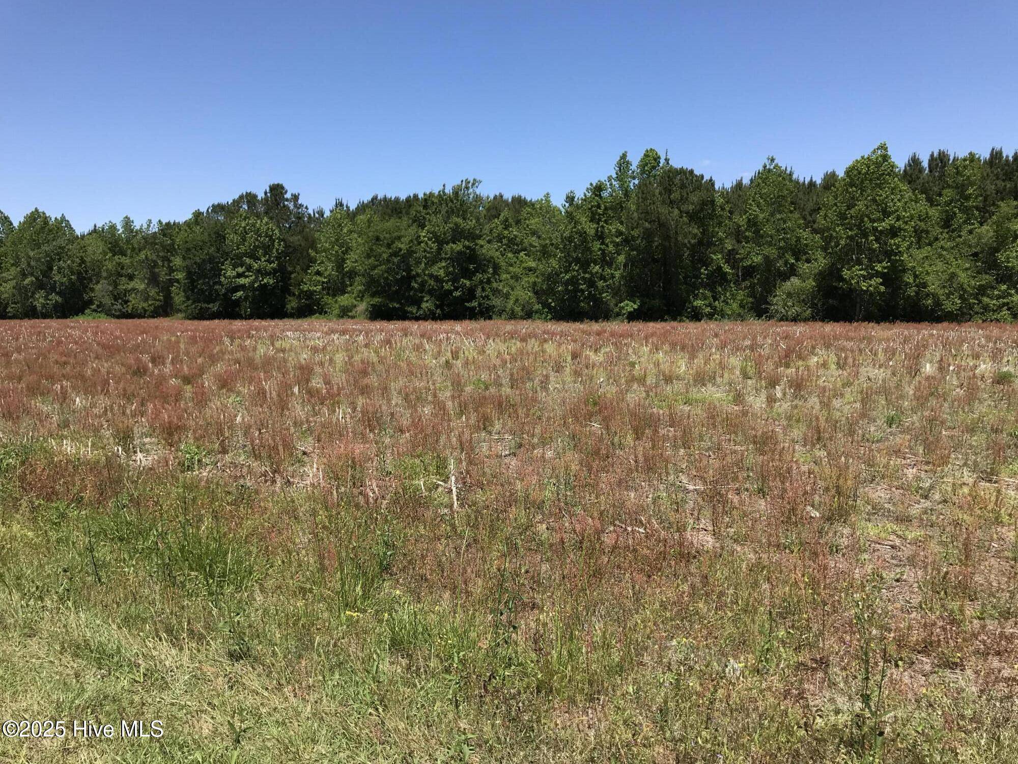 Ash, NC 28420,5522 Little Prong RD NW