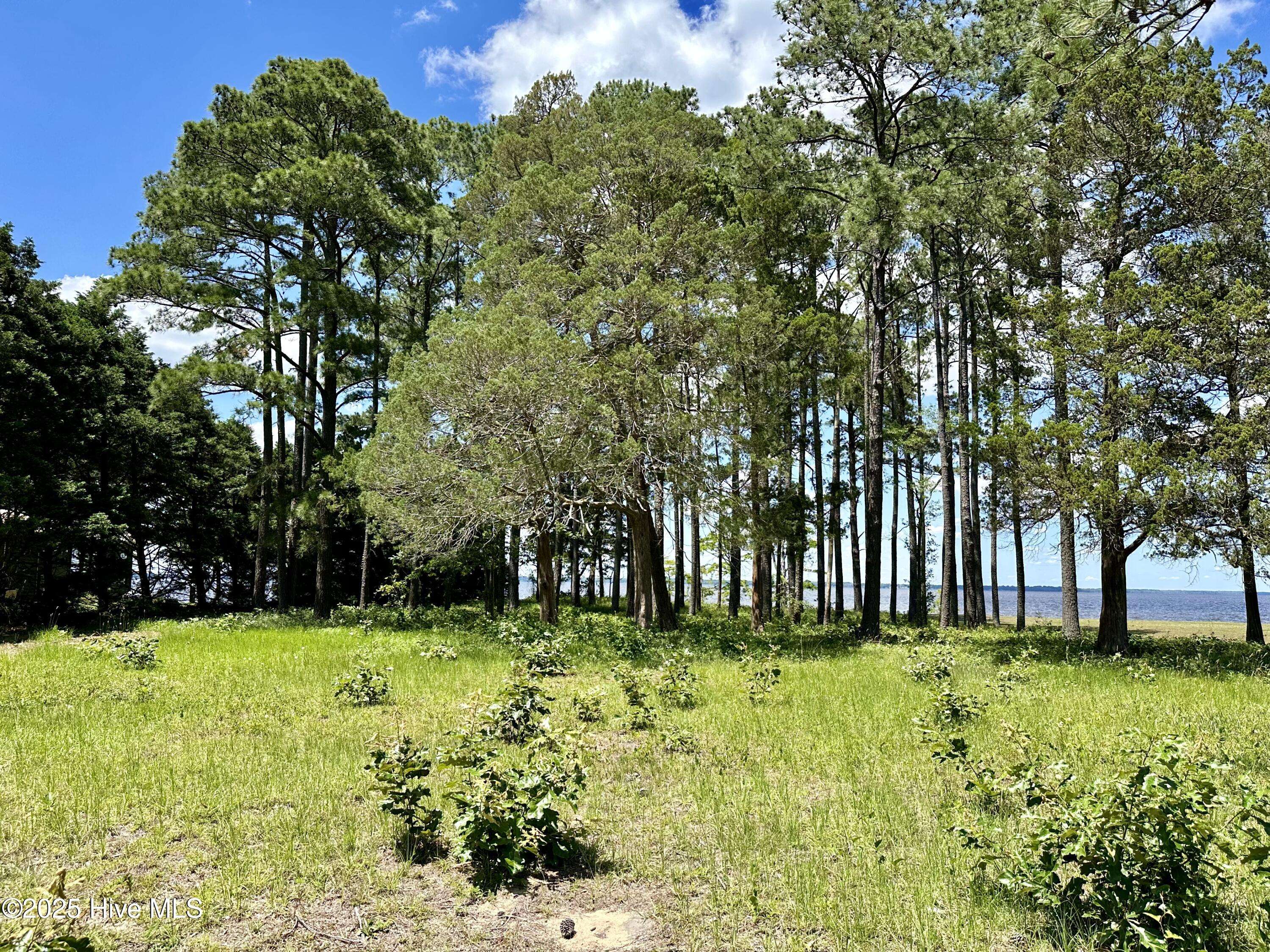 Roper, NC 27970,Lot 1 Cedar Shores DR