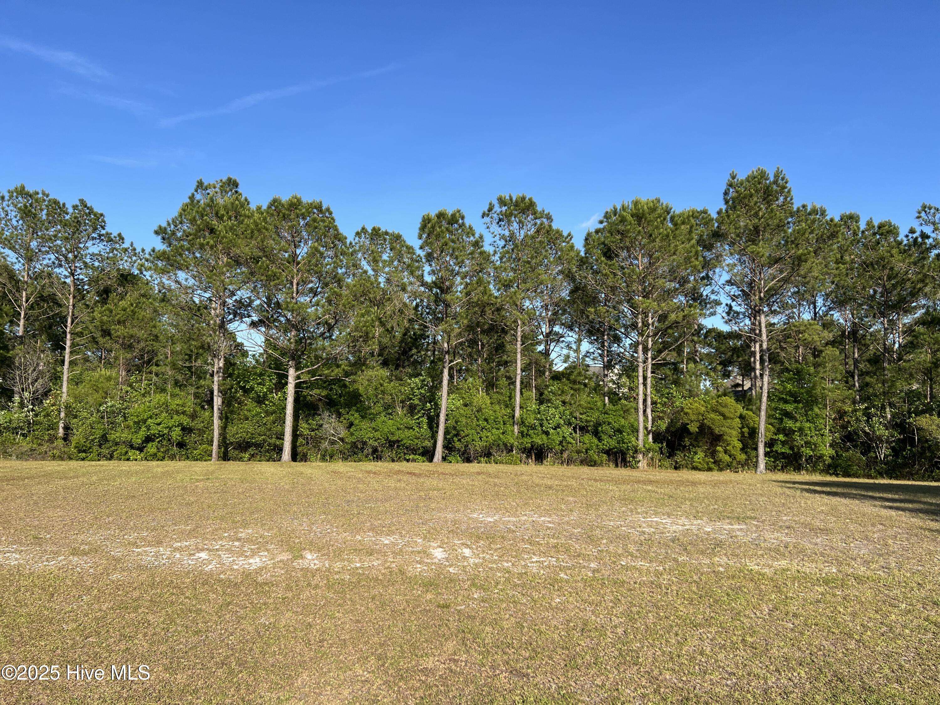 Ocean Isle Beach, NC 28469,6360 Blenhiem PL SW