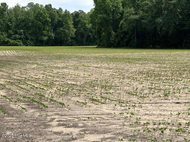 Dover, NC 28526,425 Biddle RD