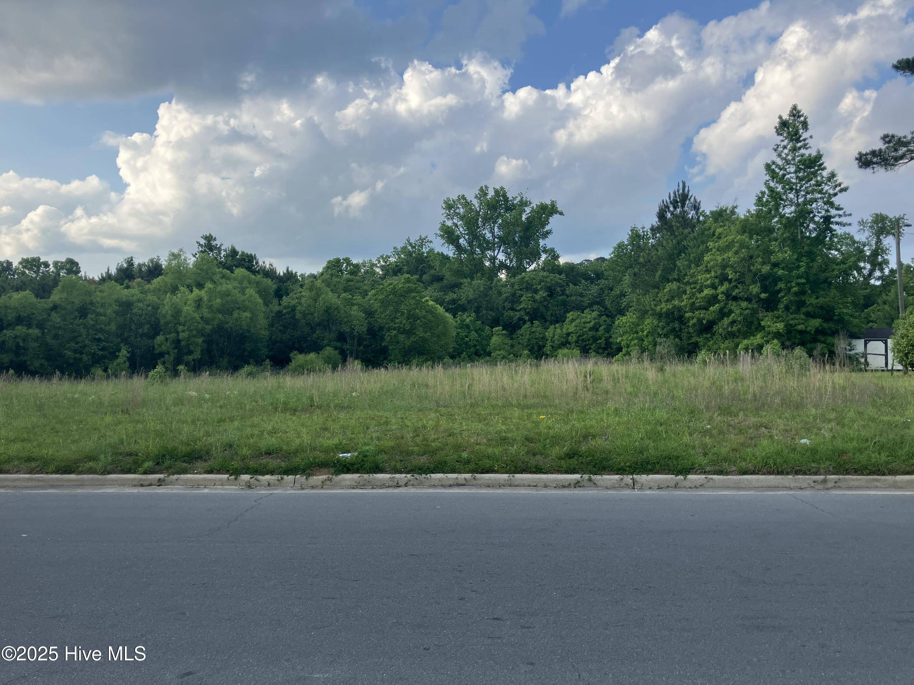 Wallace, NC 28466,0.45 Ac Raleigh RD