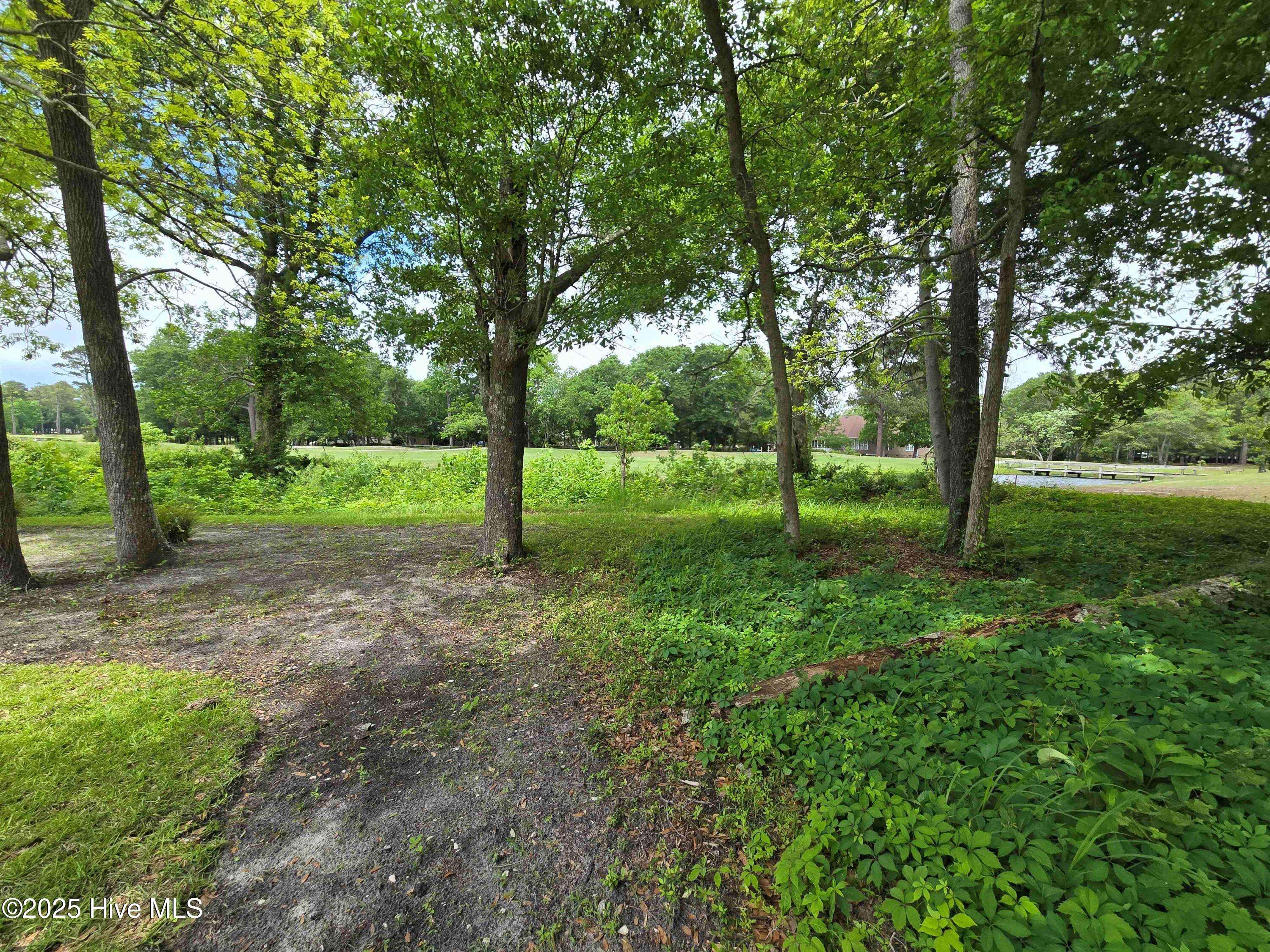 Ocean Isle Beach, NC 28469,1629 Colonist SQ SW