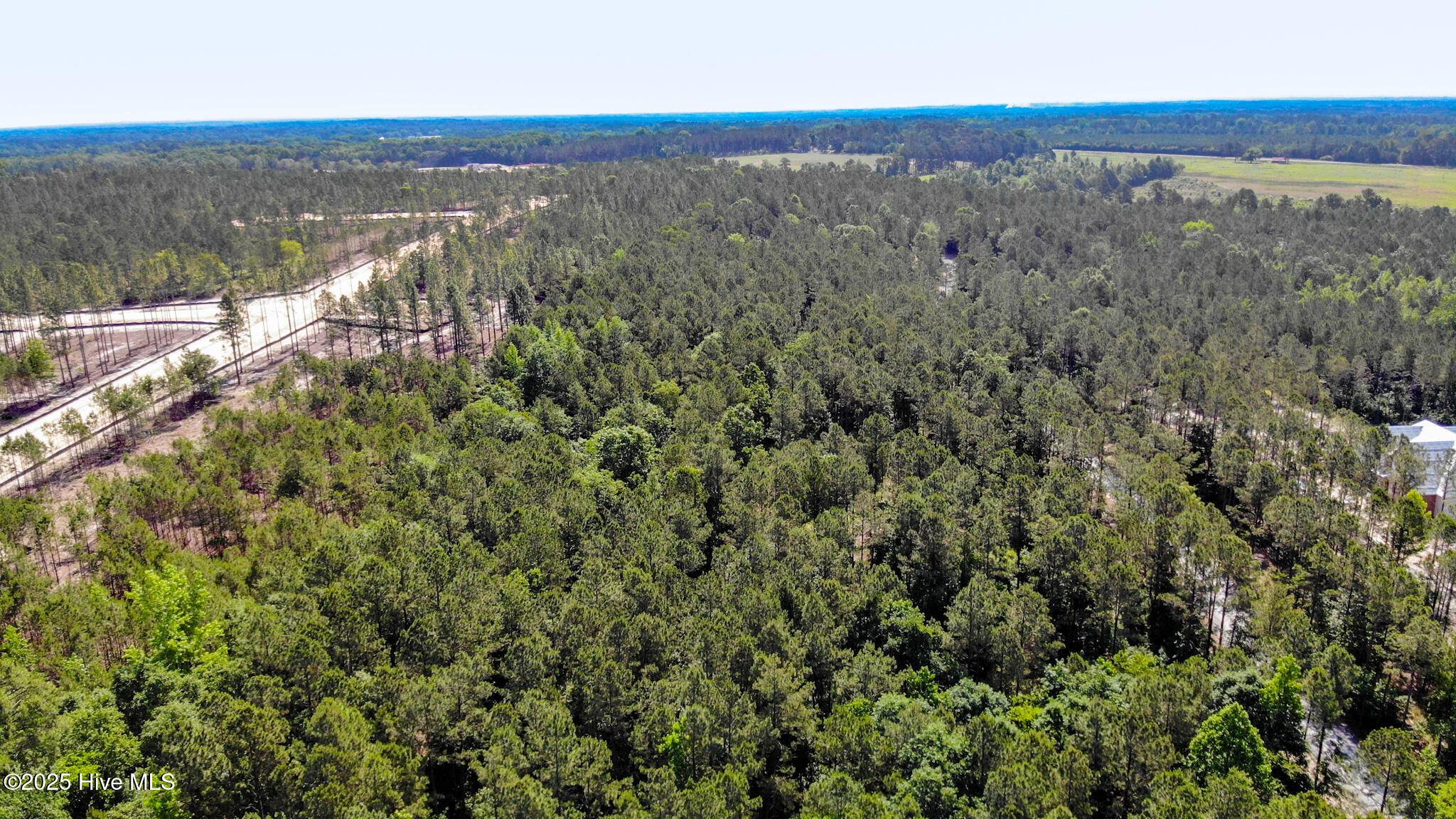 Sanford, NC 27332,0 Sugar Maple RD