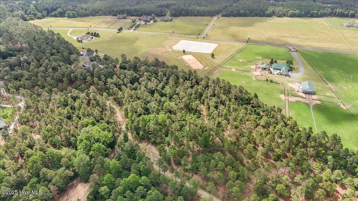 Jackson Springs, NC 27281,915 Tufts VIS