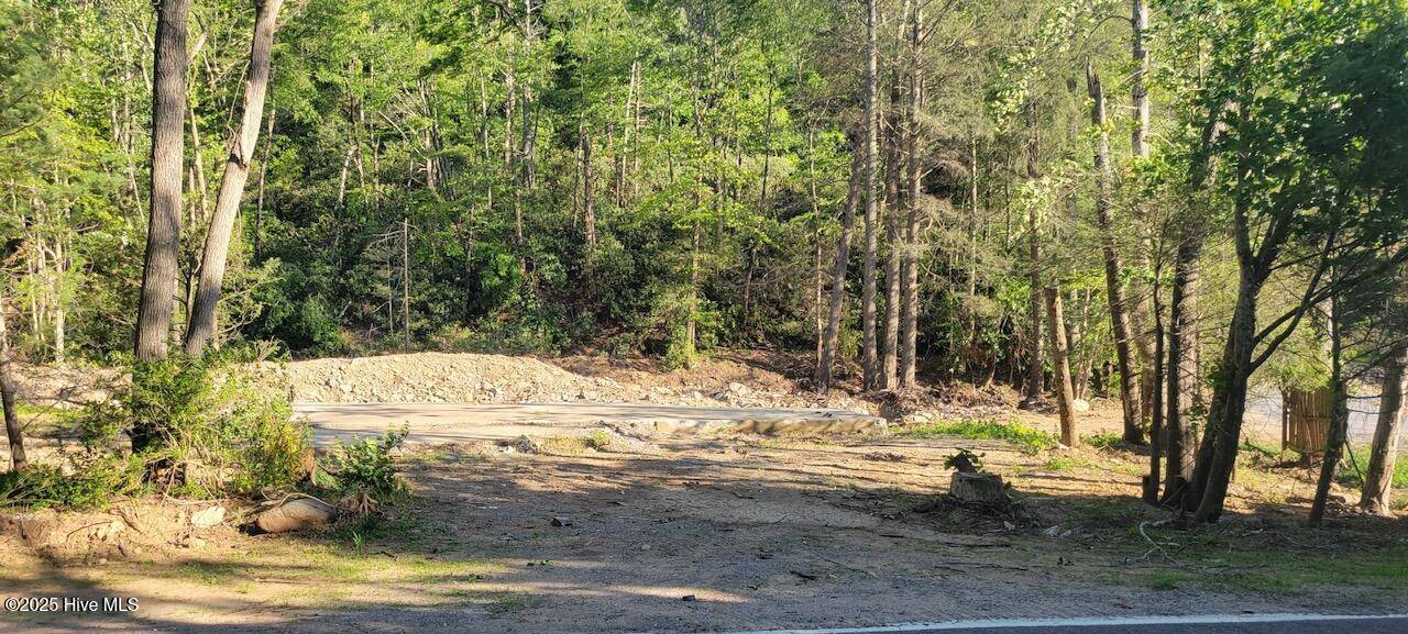 Swannanoa, NC 28778,1229 Bee Tree RD