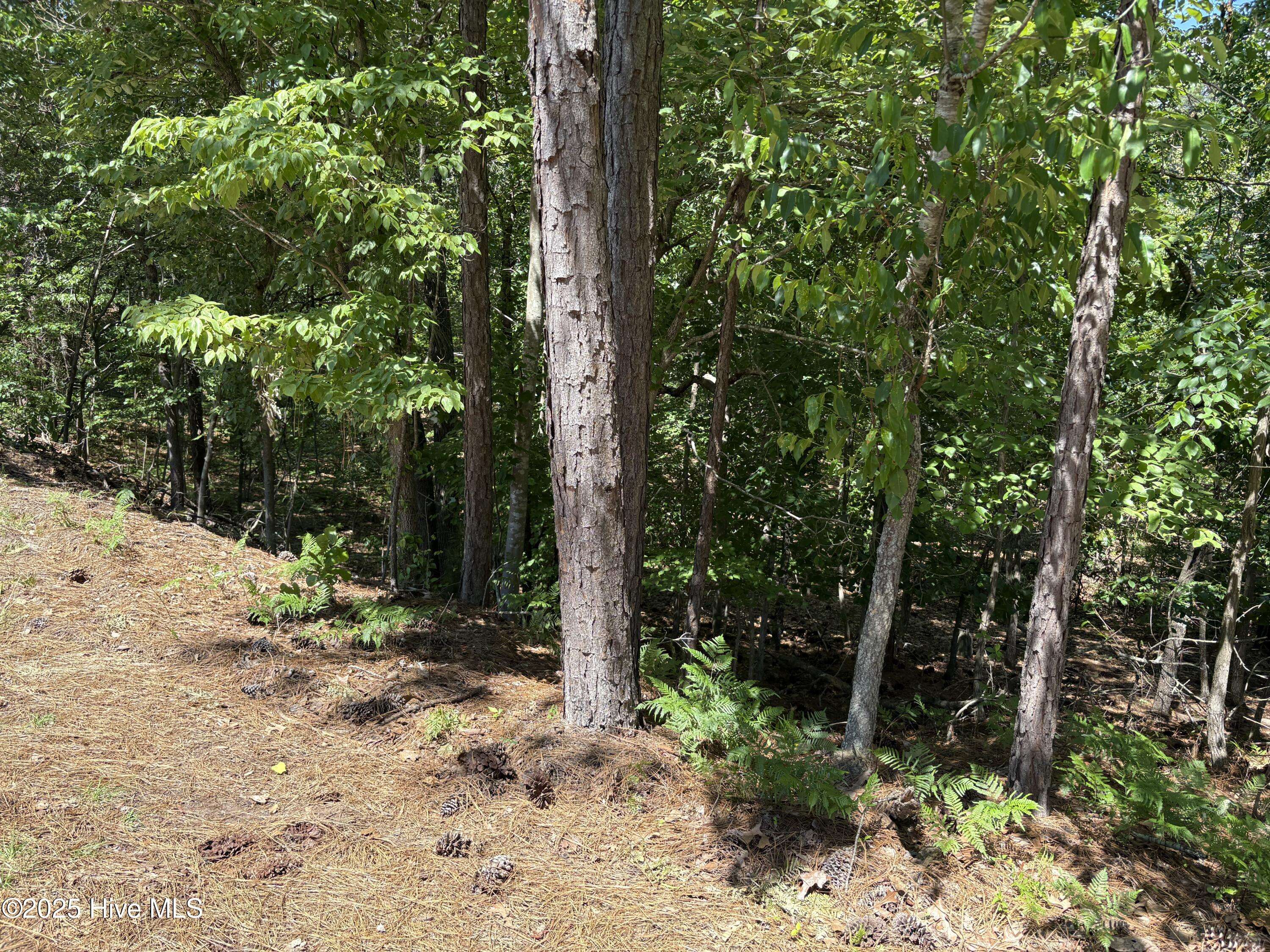 Pinehurst, NC 28374,10 Overcup LN