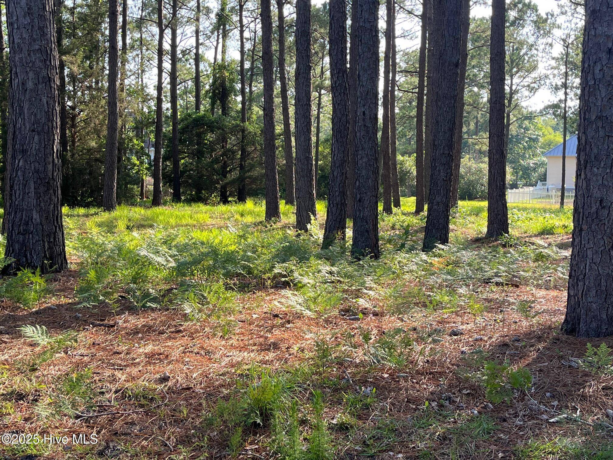 Southport, NC 28461,3518 Scupper Run SE