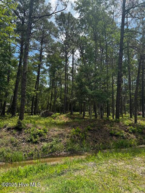 Boiling Spring Lakes, NC 28461,16 & 17 Cherry RD