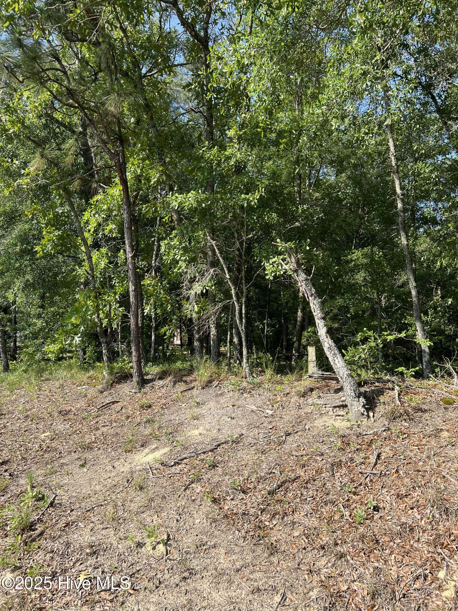 Rocky Point, NC 28457,0 Off Shaw HWY