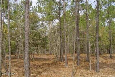 Bolivia, NC 28422,600 Del Sol CIR SE