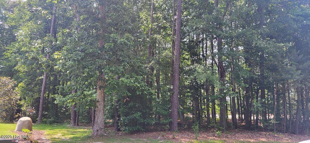 Hertford, NC 27944,Jj60 Paint LN