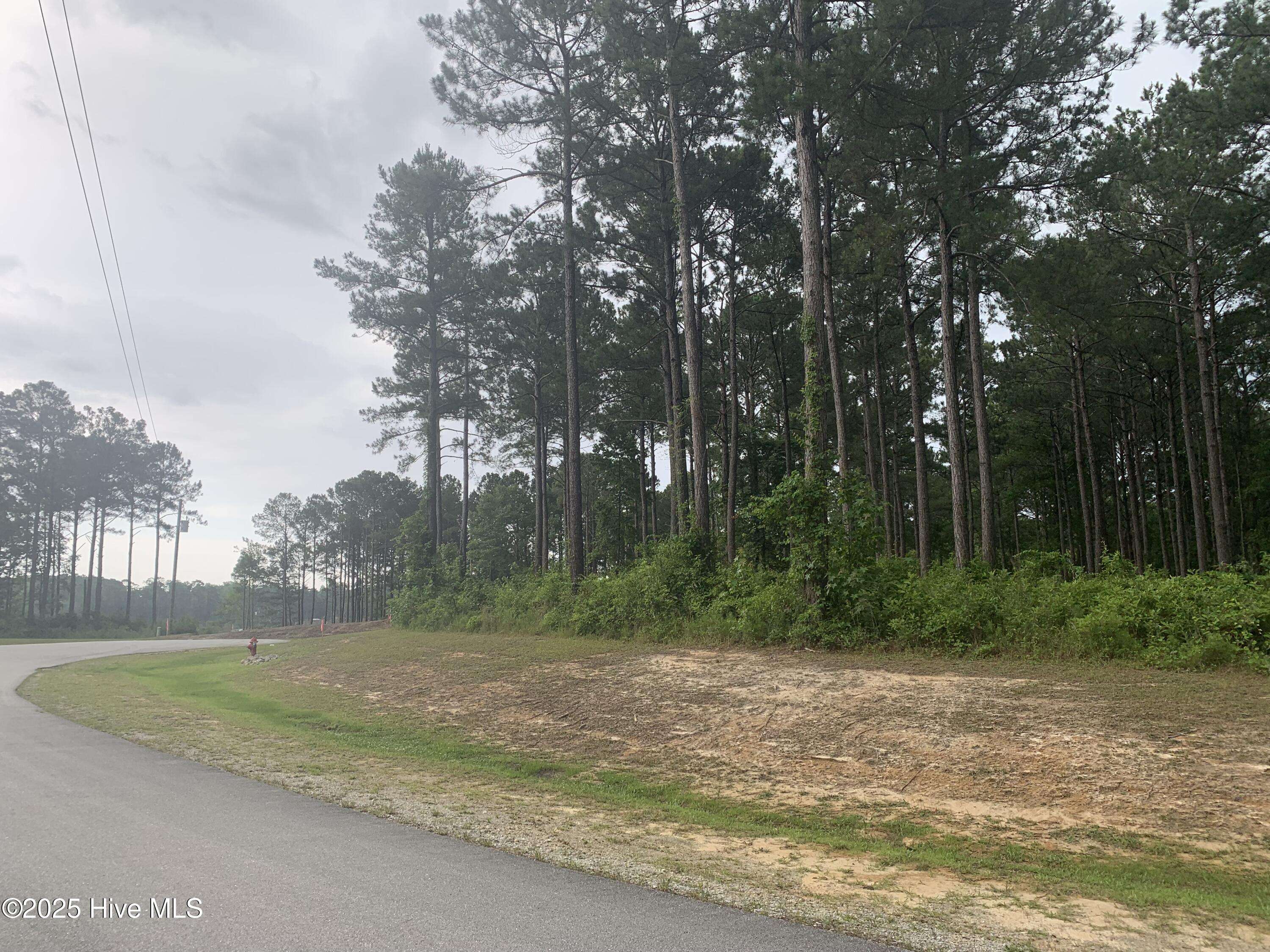 Holly Ridge, NC 28445,216 Alderman LNDG