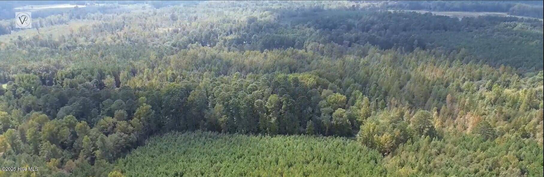 Marston, NC 28363,16369 Palmer RD