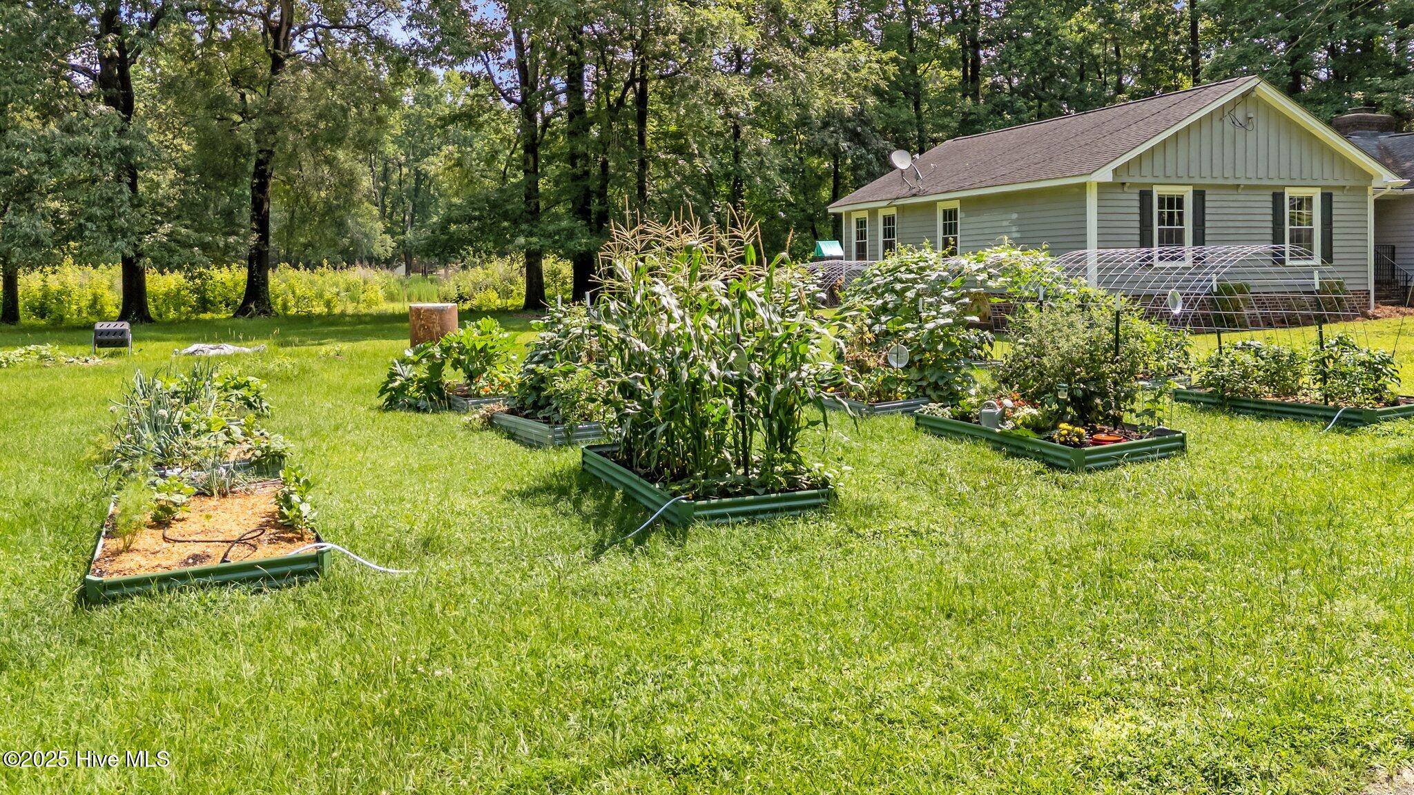Nashville, NC 27856,510 Westwood CIR