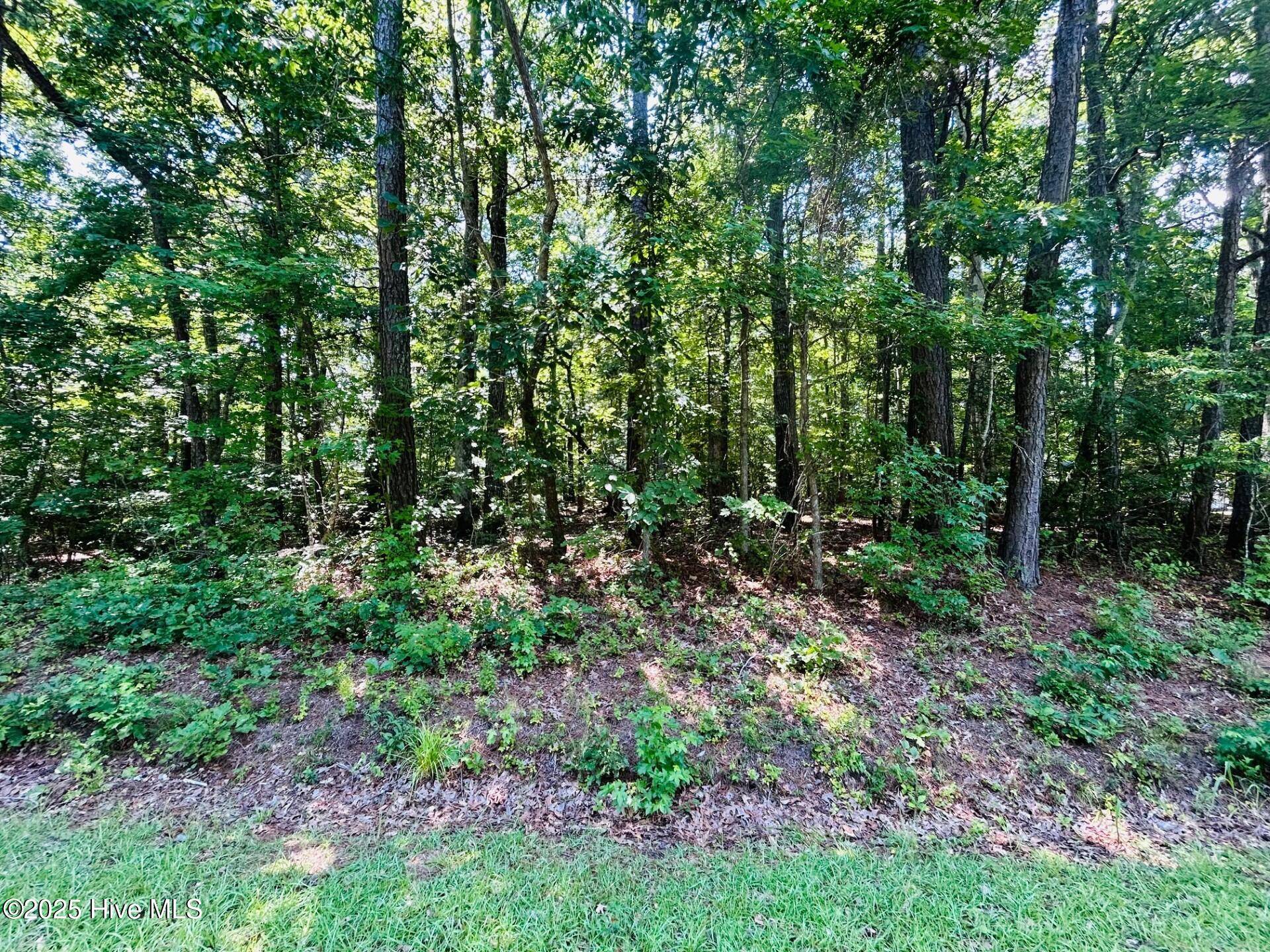 Hertford, NC 27944,56 Holly ST