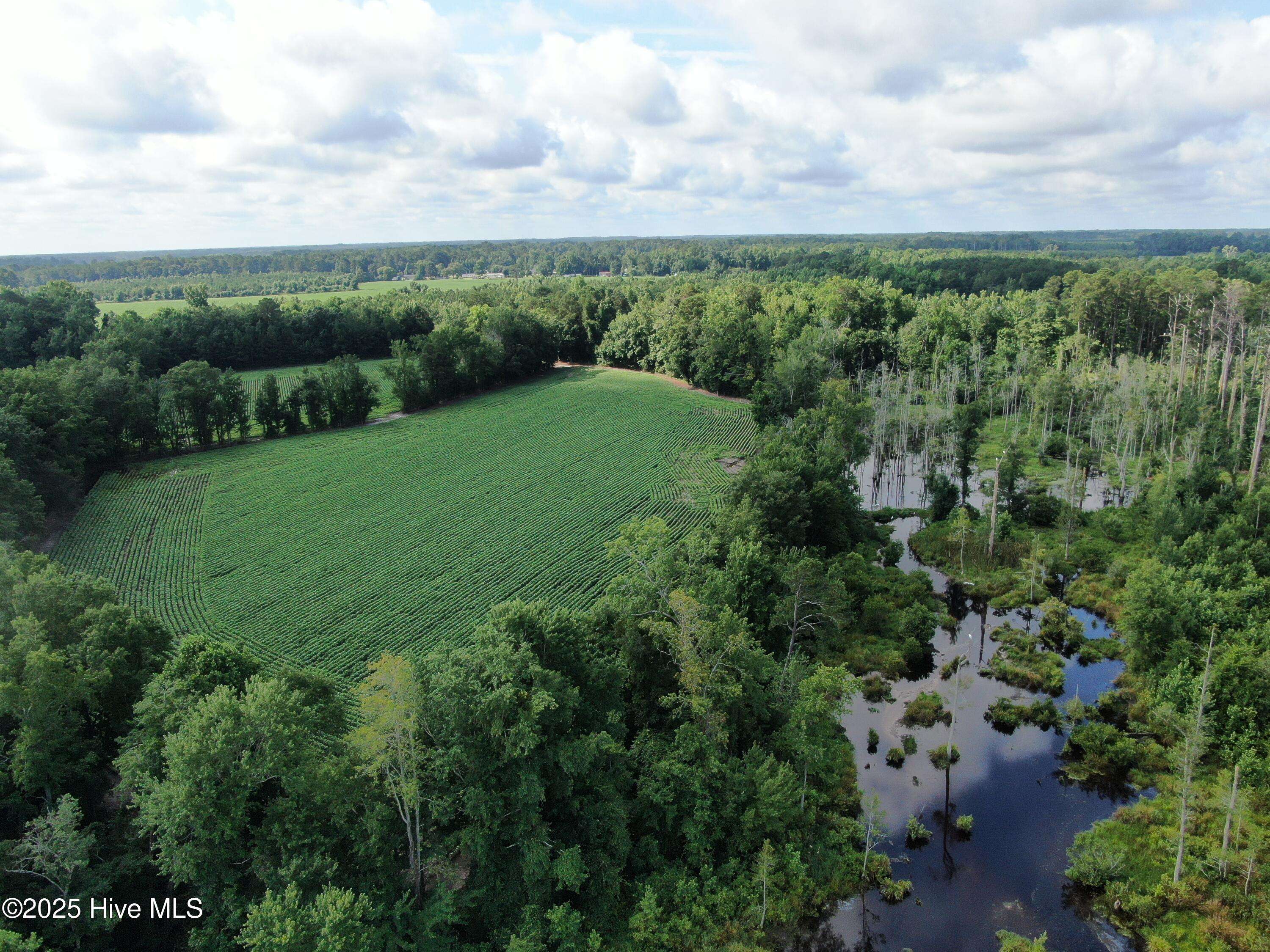 Fairmont, NC 28340,Tbd Centerville Ch RD
