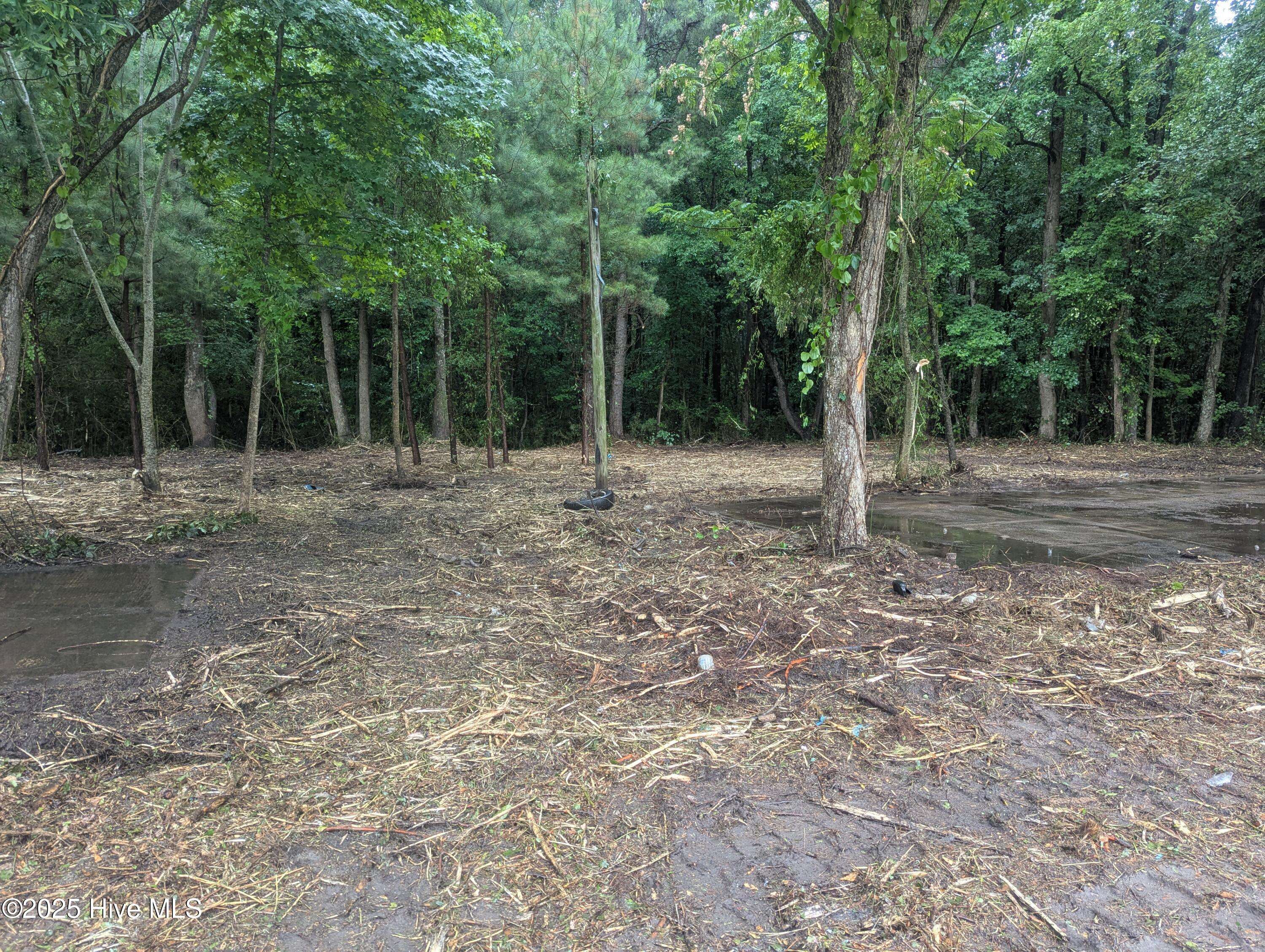 Pinetops, NC 27864,0 Nc Hwy111