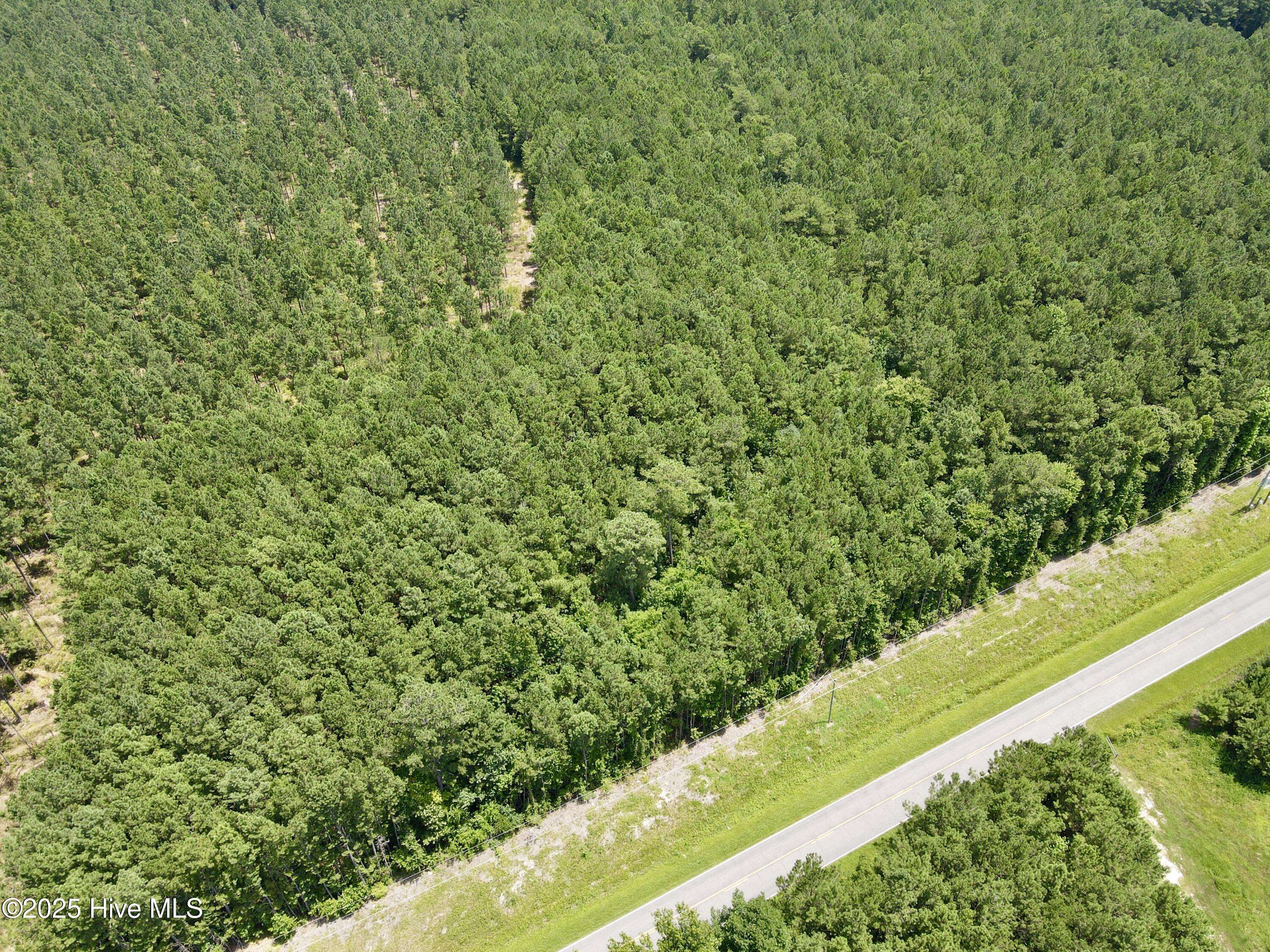 Williamston, NC 27892,2b & 3 Holly Springs Church RD