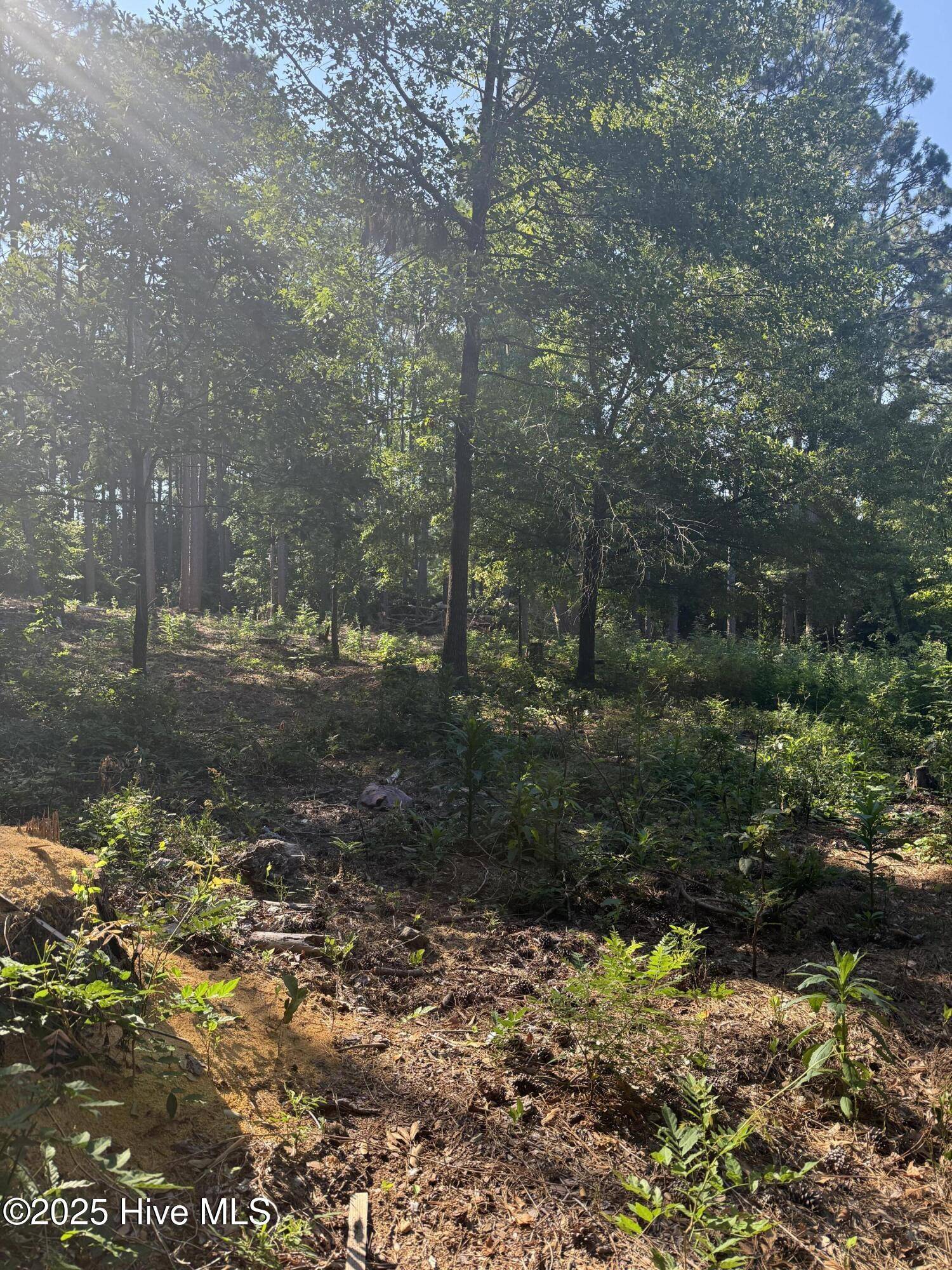 Southern Pines, NC 28387,Tbd Stephanie ST