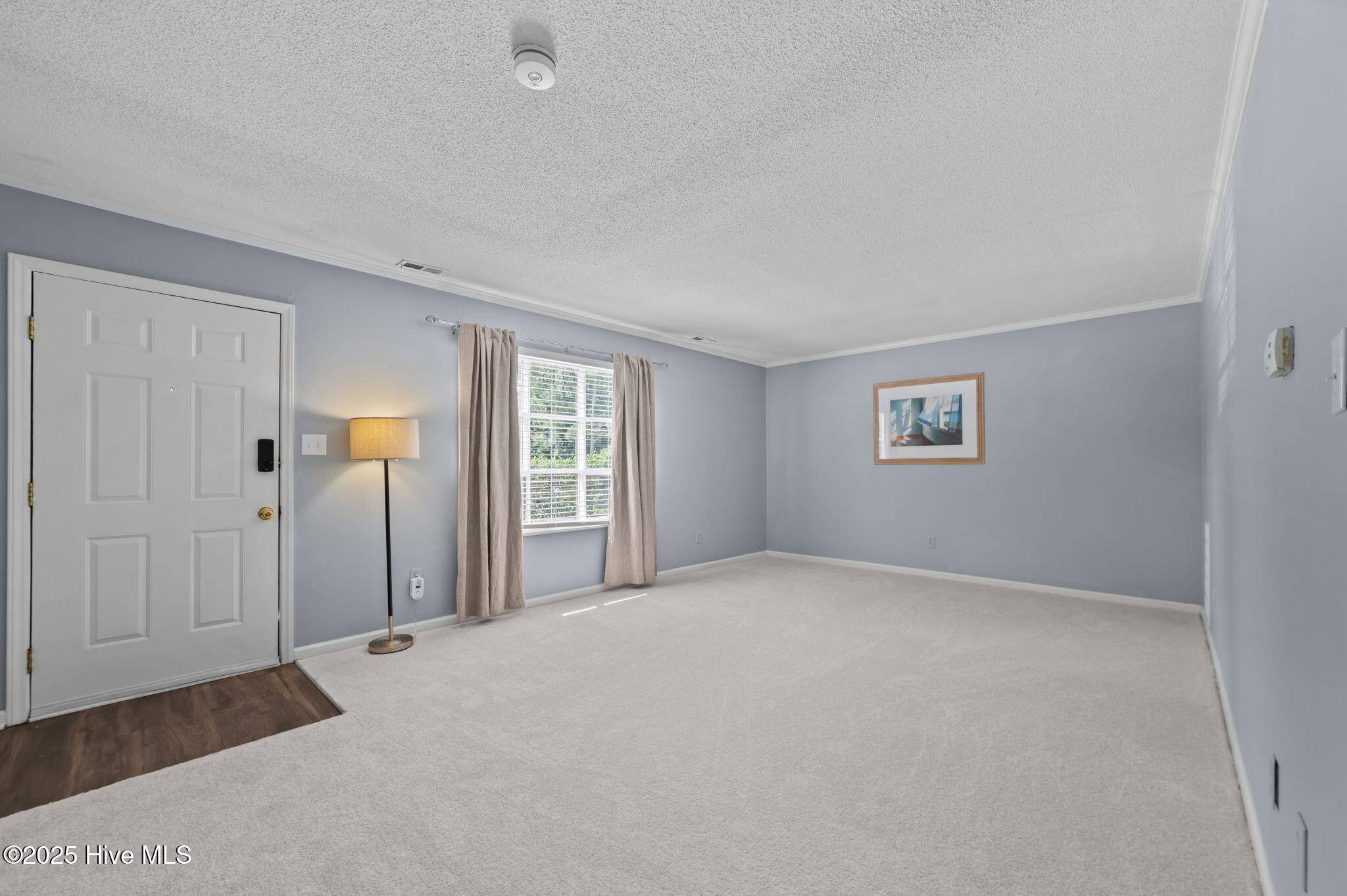 Greenville, NC 27858,101 Laura LN #C2