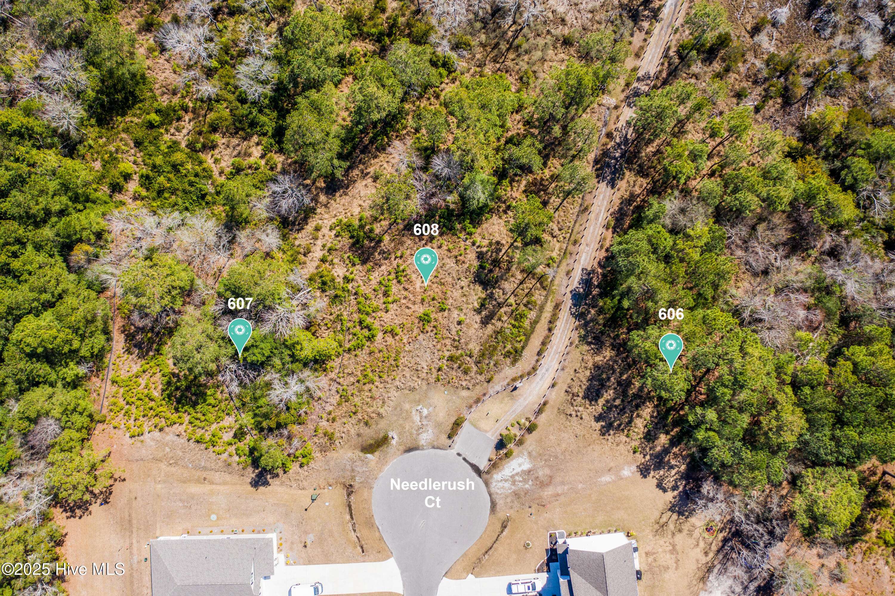 Sneads Ferry, NC 28460,607 Needlerush CT