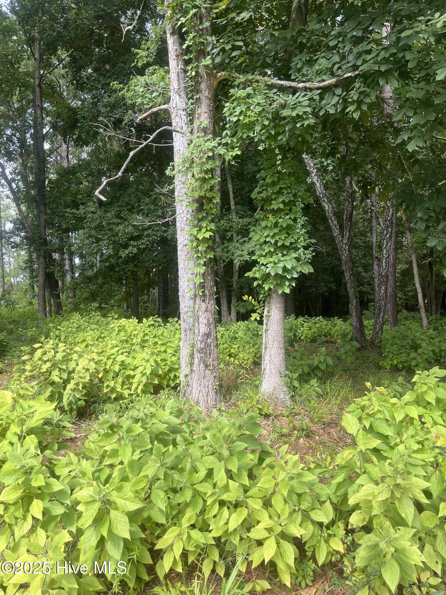 Bolivia, NC 28422,714 Cedarhurst DR SE