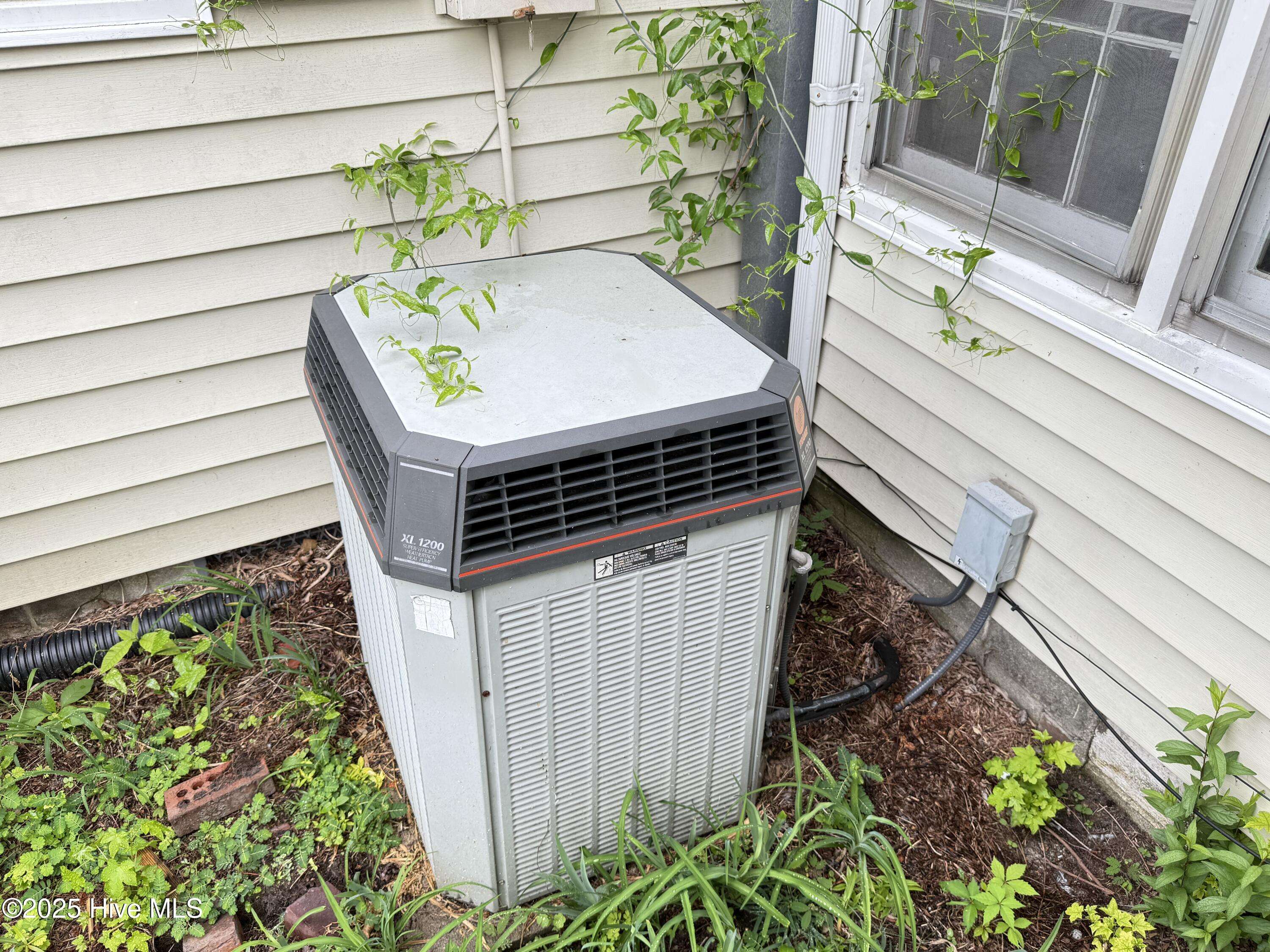 Mount Olive, NC 28365,513 Steele ST