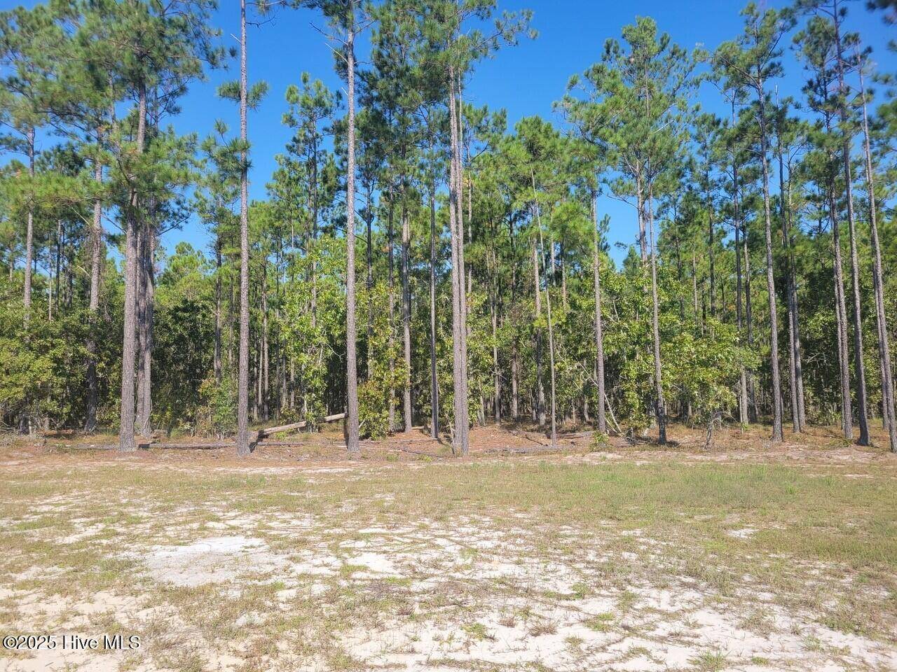 Leland, NC 28451,2885 W Timber Crest DR NE